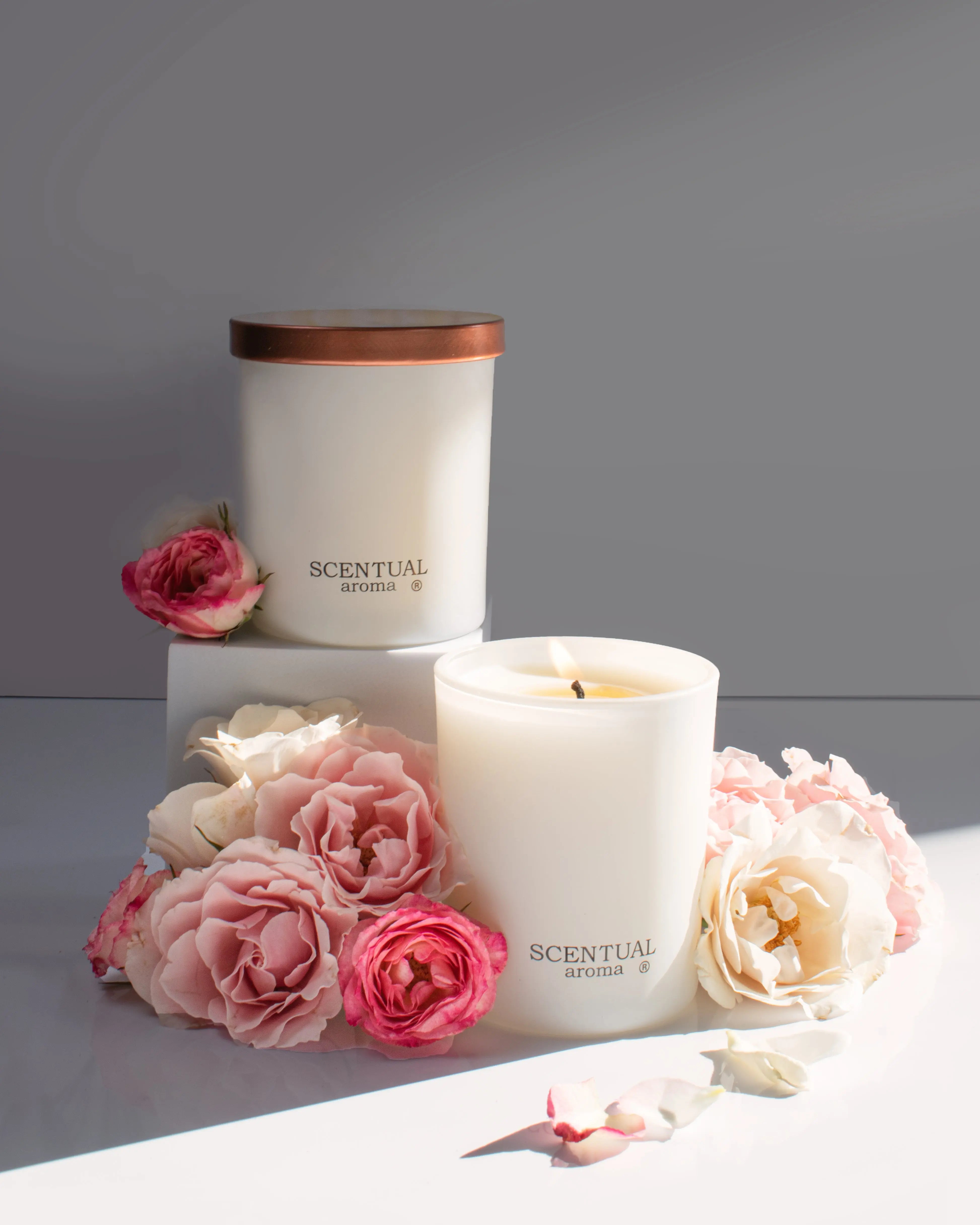  Botanical Candle l Tub茅reuse、mySite、elrpsem3k