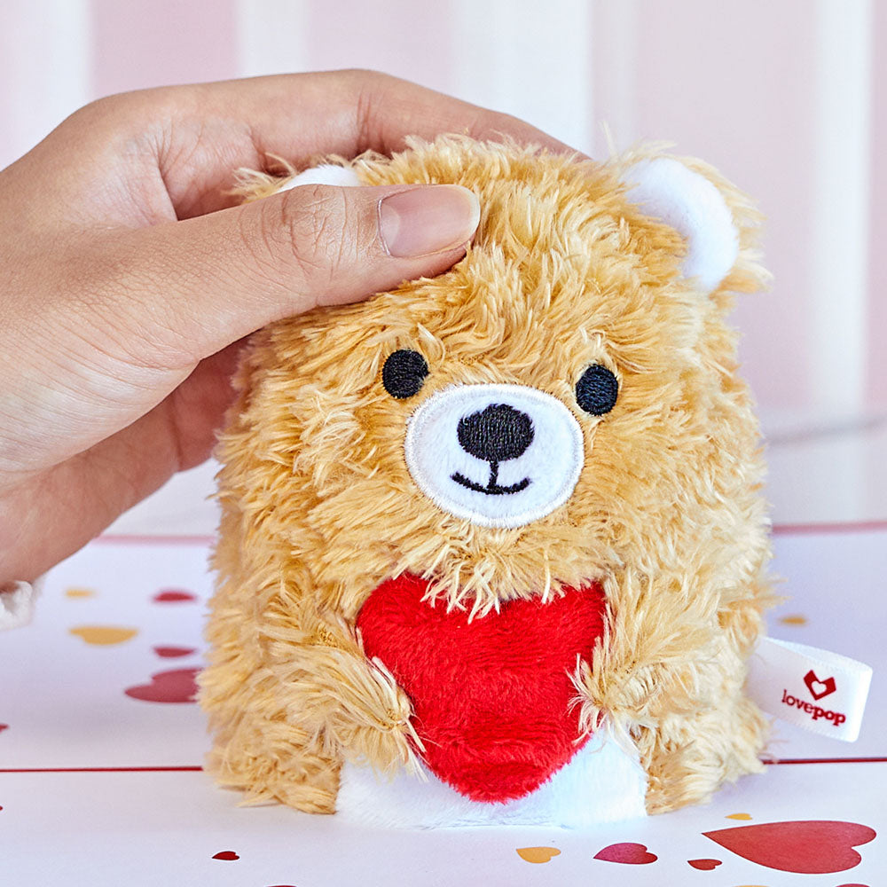 'You're The Beary Best' Plushpop Card、mySite、solidvoid