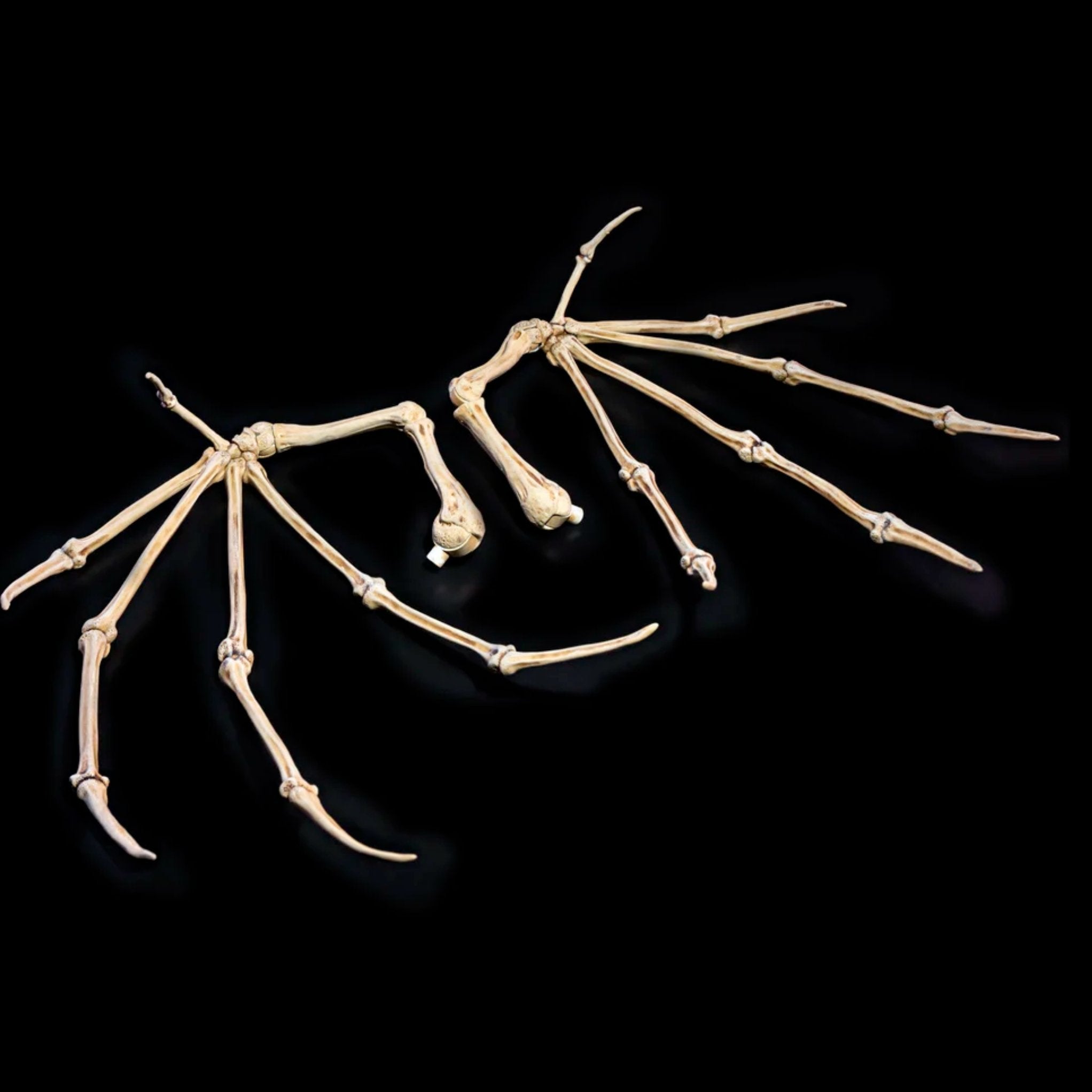 Mythic Legions Bone Wings、mySite、hgirdovlk