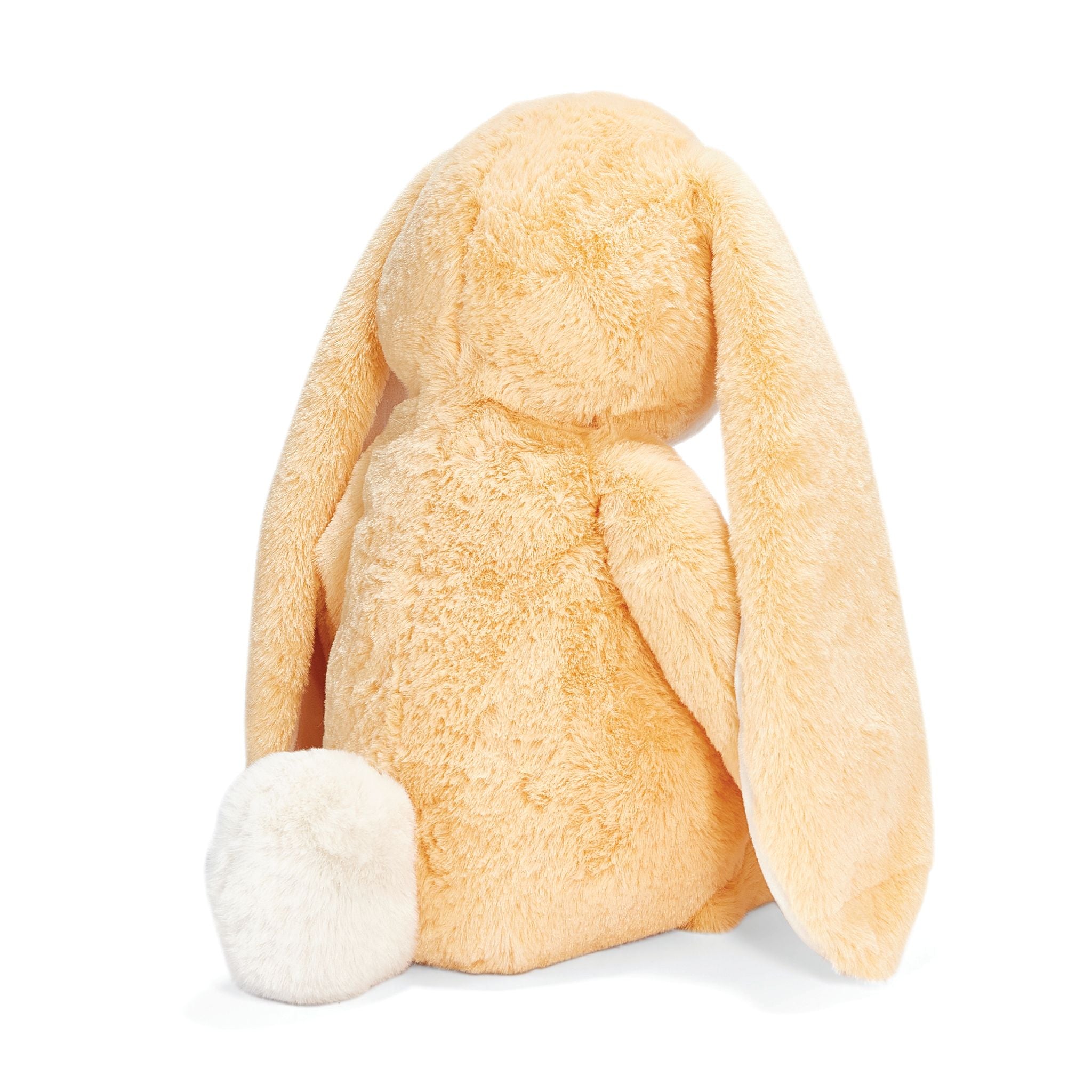 Big 20 Floppy Nibble Bunny- Apricot Cream、mySite、g9winljtr