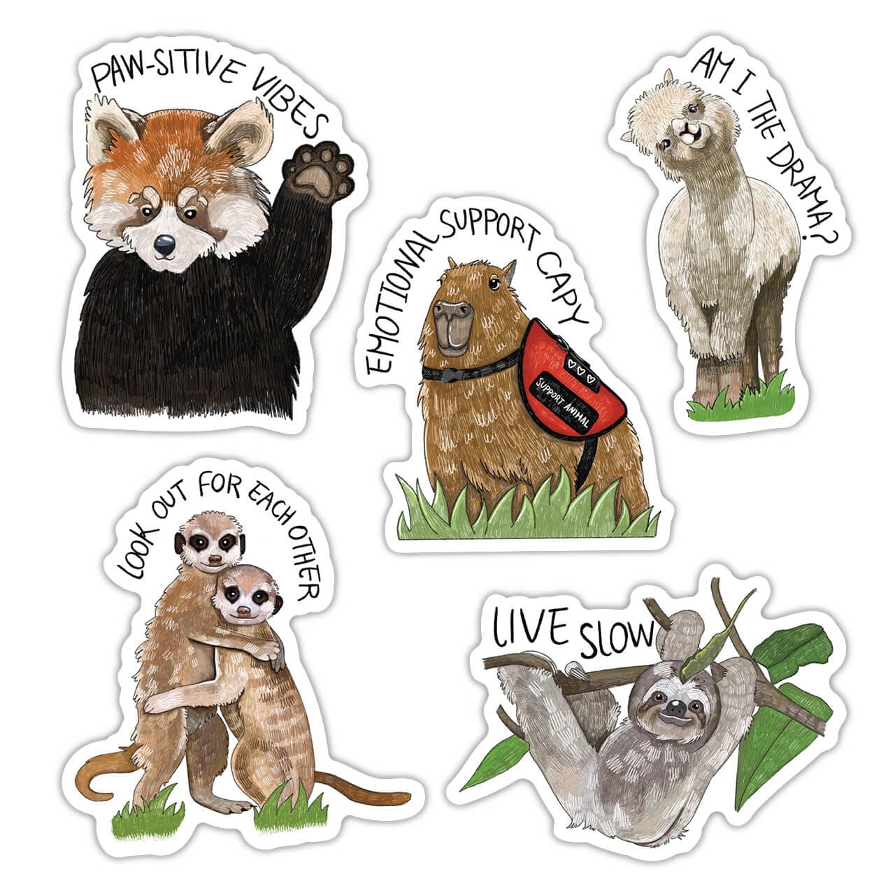  Exotic Animal Sticker 5 Pack、mySite、ghnorth