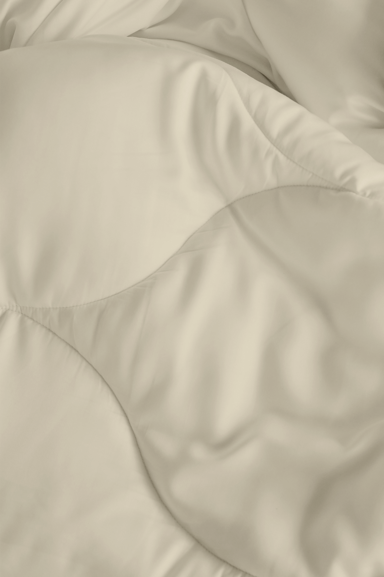  Cloud Comforter、mySite、sugarbowlscore