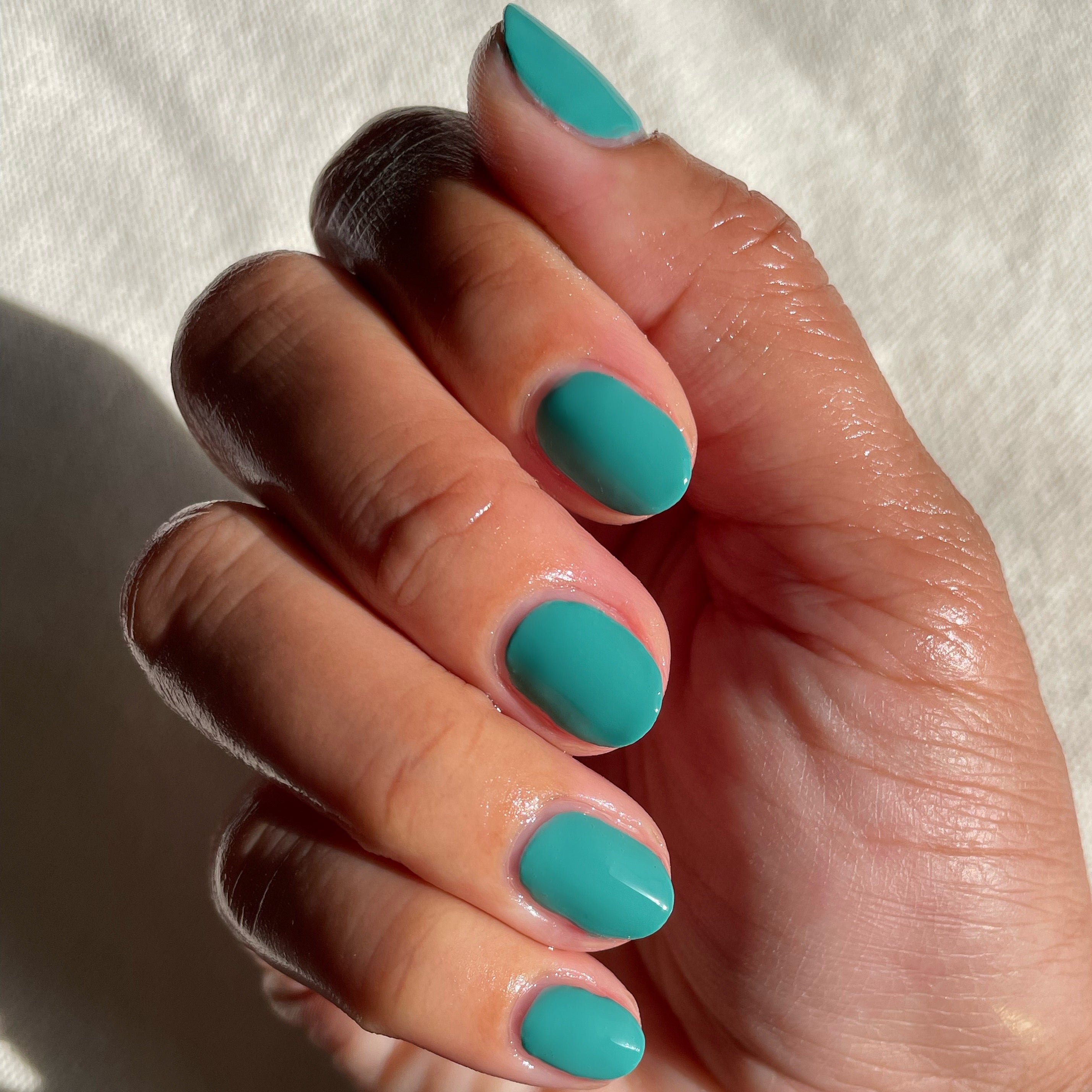 Green Canteen、mySite、solidvoid