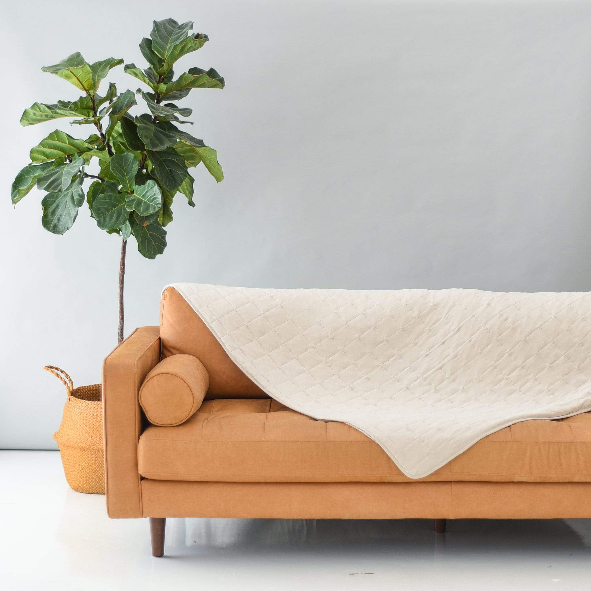  Adult Quilted Blanket in Oat 2.5、mySite、layawaytickets