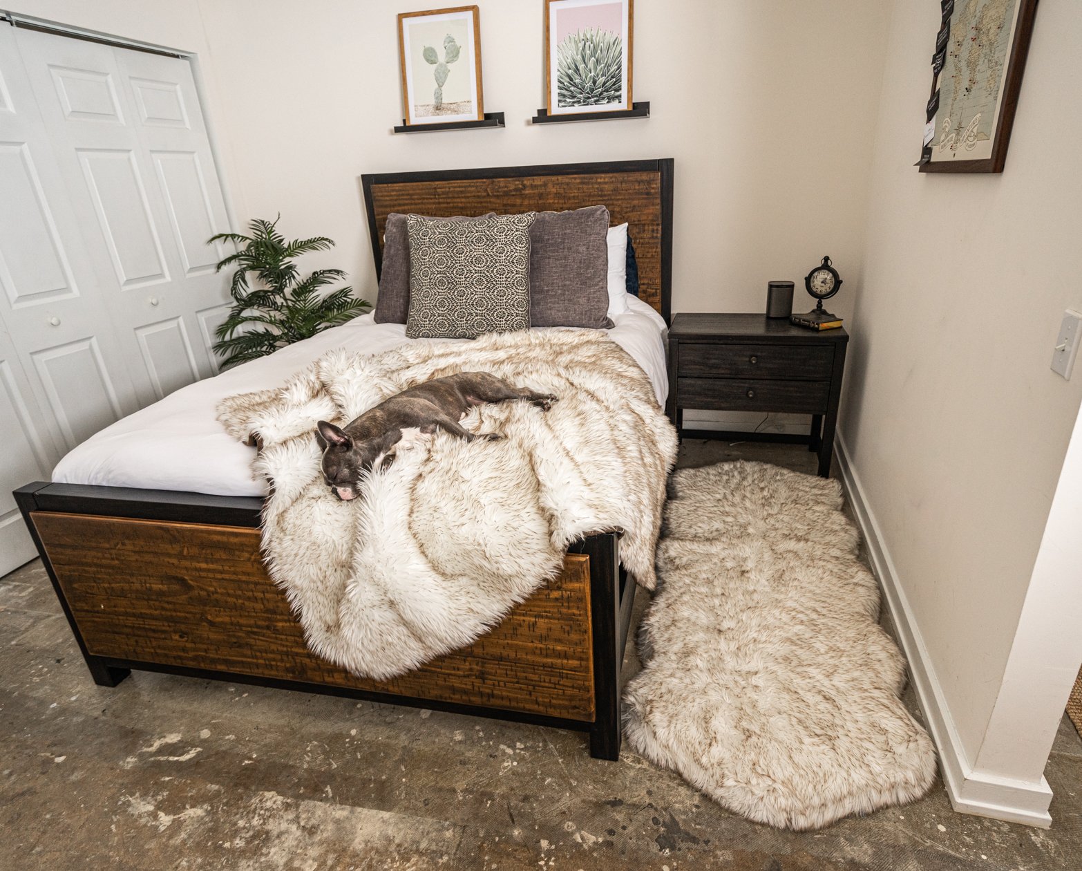 PupRug™ Orthopedic Runner Bed + Matching Waterproof Blanket Bundle - White with Brown Accents、mySite、solidvoid