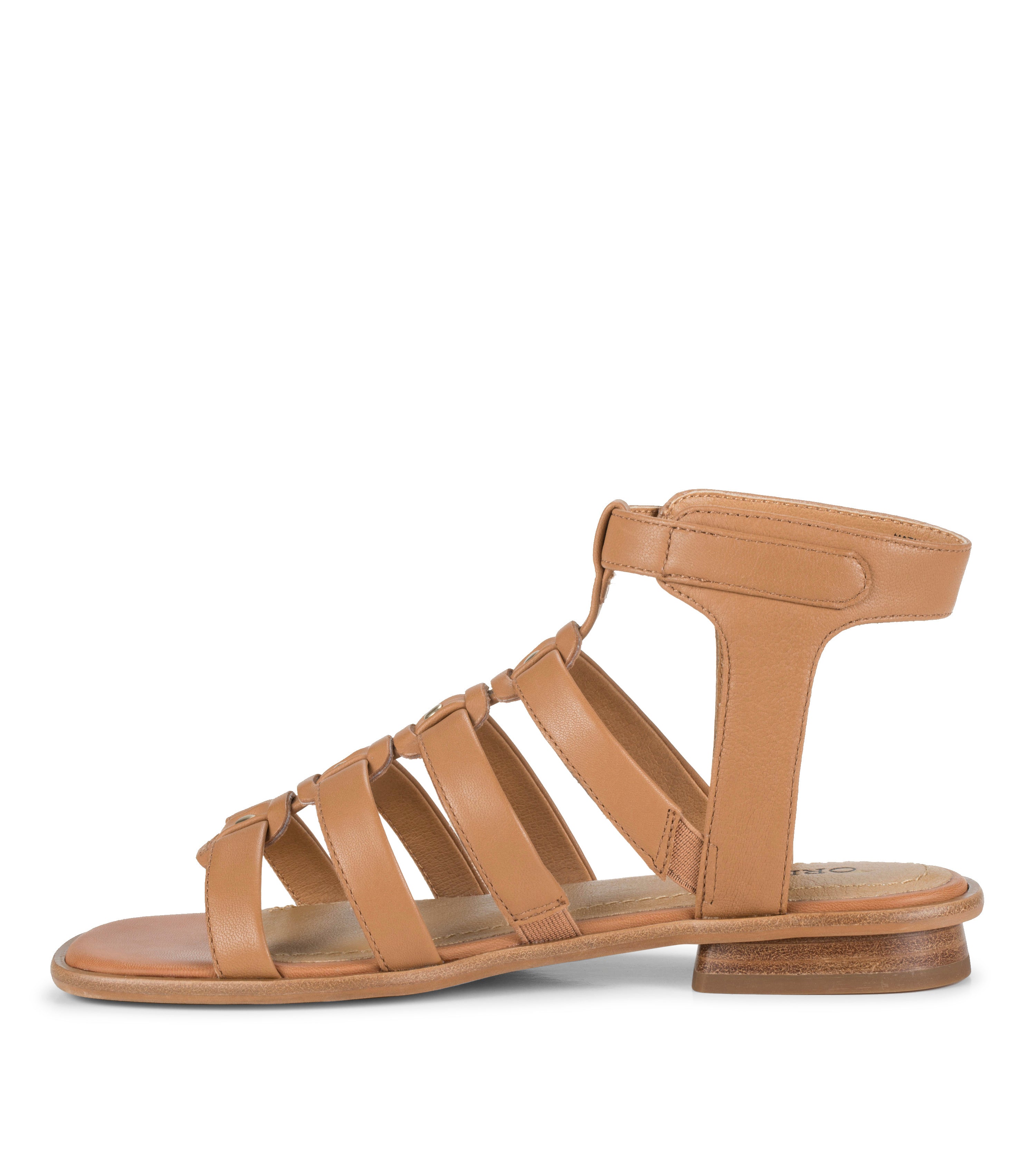  Nathalia Gladiator Sandal、mySite、preschool7hills