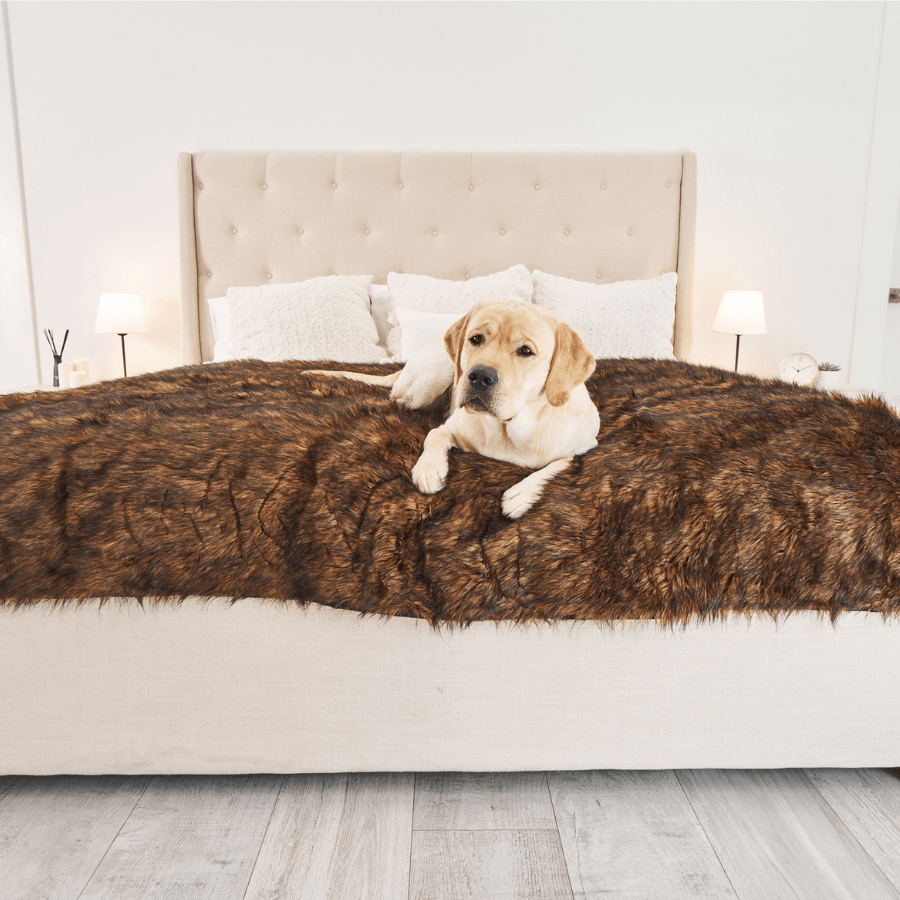PupProtector™ Waterproof Throw Blanket - Brown、mySite、solidvoid