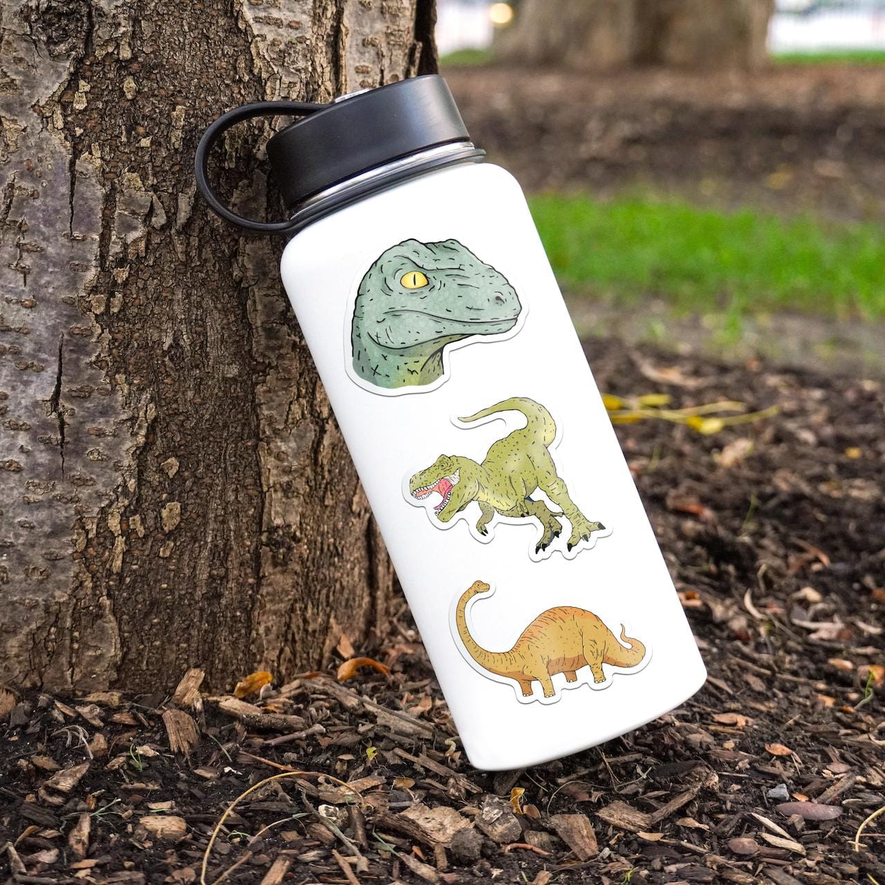  Dinosaur Stickers 5 Pack、mySite、ghnorth