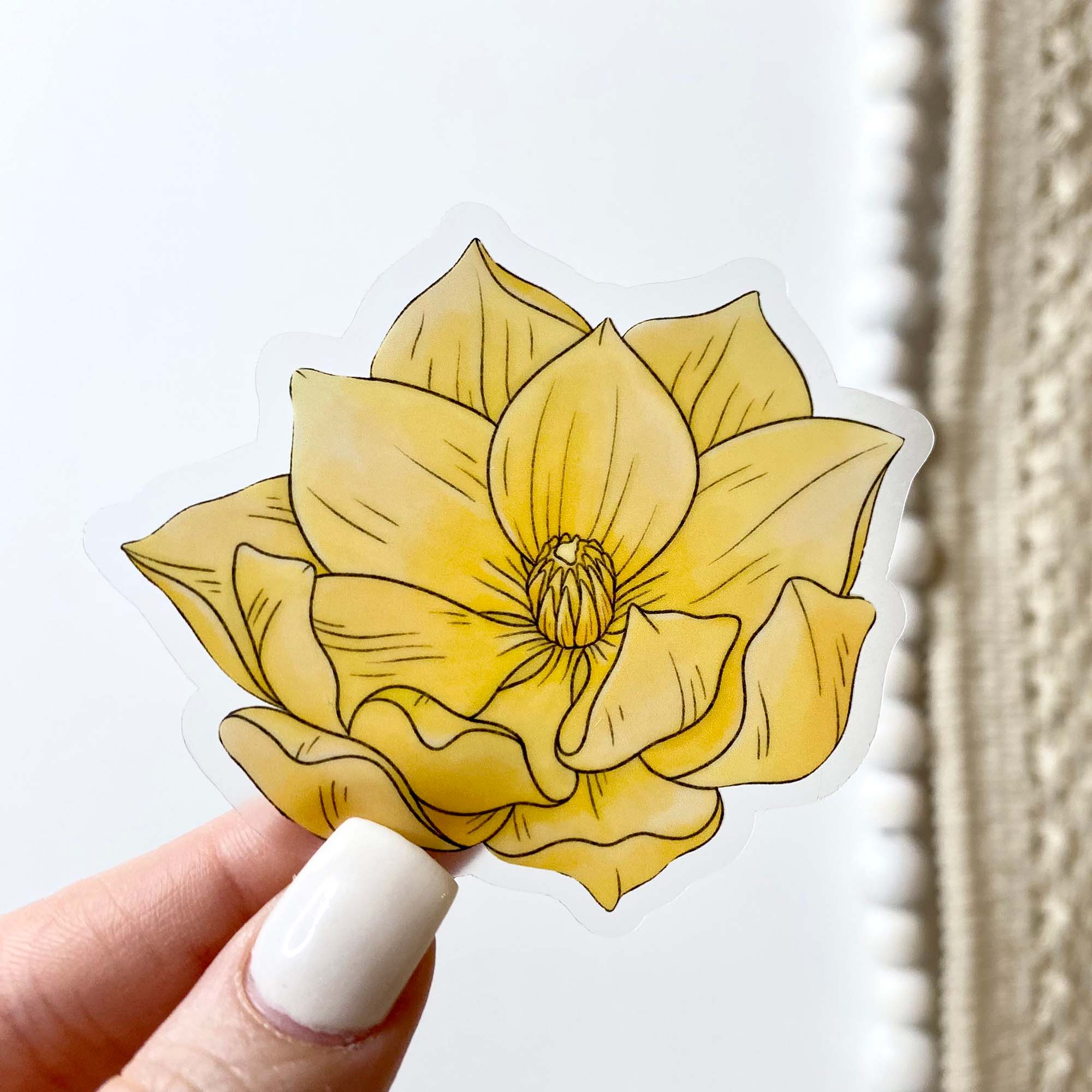  Ranunculus - Botanical Clear Sticker、mySite、ghnorth