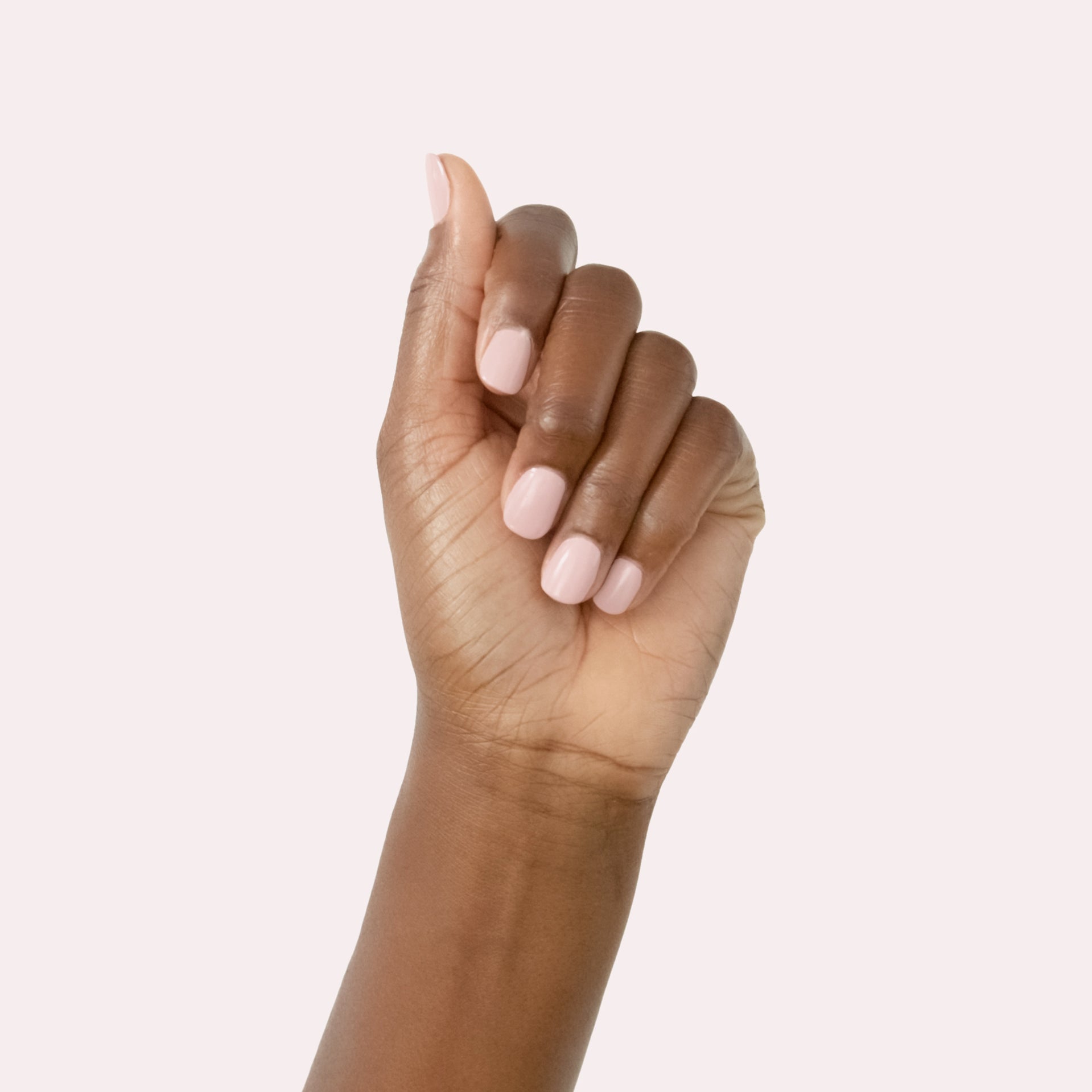 Study Hall、mySite、solidvoid