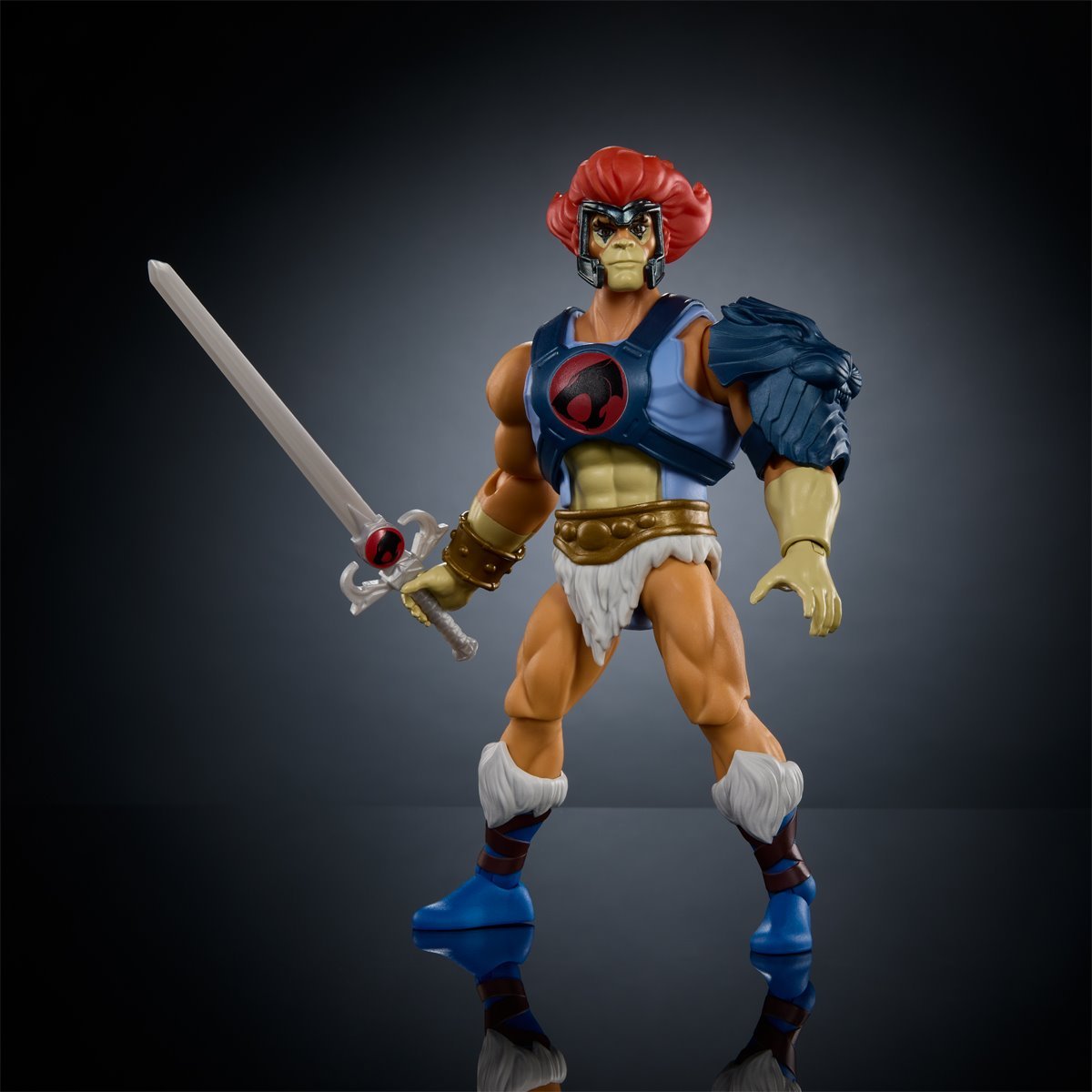 Masters of Universe Origins and ThunderCats Lion-O、mySite、hgirdovlk