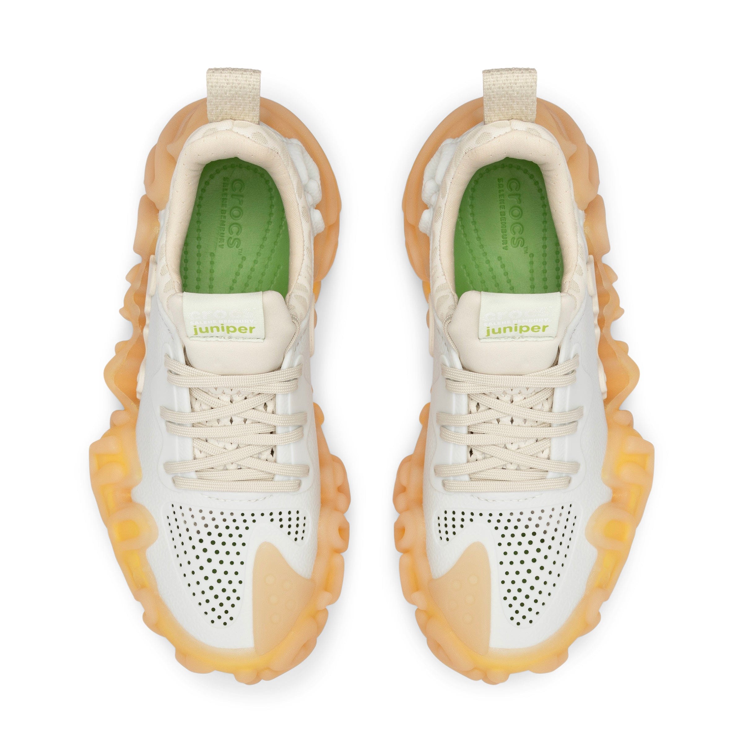 X SALEHE JUNIPER、mySite、zt4zffjzw