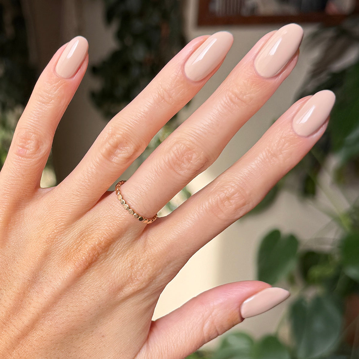 Line Dancing Boots、mySite、solidvoid