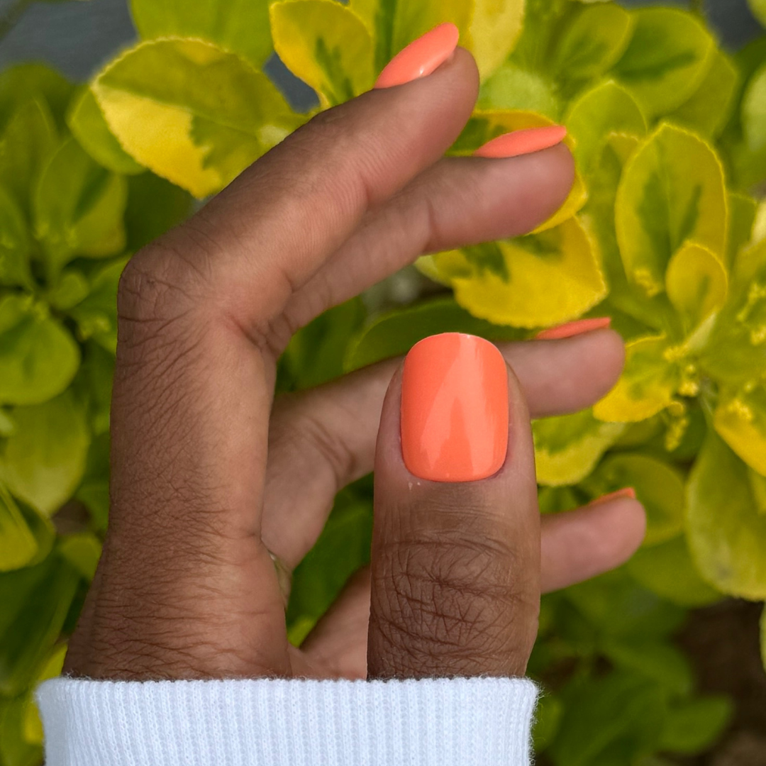 Lobster | Extra Short | Squoval - Tab Press-On、mySite、solidvoid