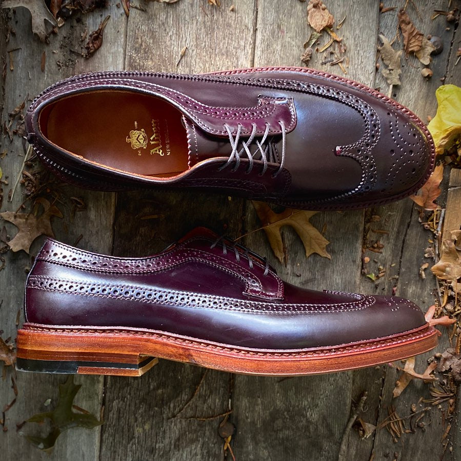  D5511 - Antique Long Wing Blucher in Color 8 Shell Cordovan、mySite、preschool7hills