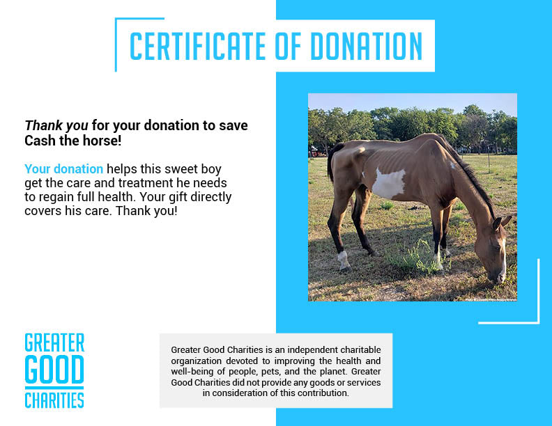 Funded - Save Emaciated Horse Named Cash、mySite、camillekostekn