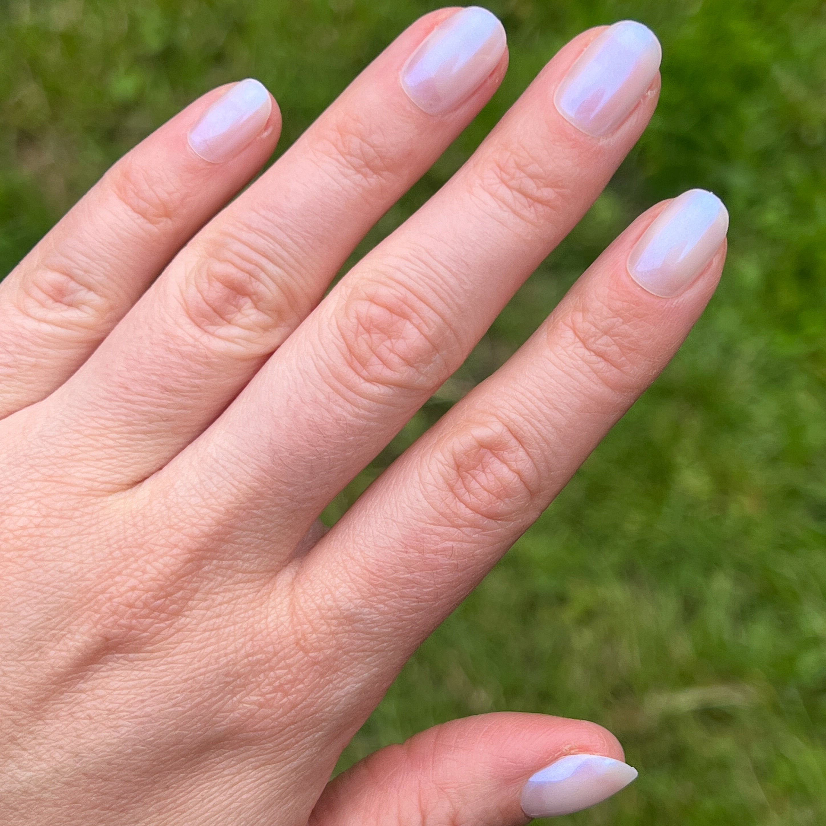 Pink Goldfish | Round | Extra Short、mySite、solidvoid