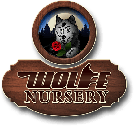 Wolfe Nursery Gift Card、mySite、g9winljtr