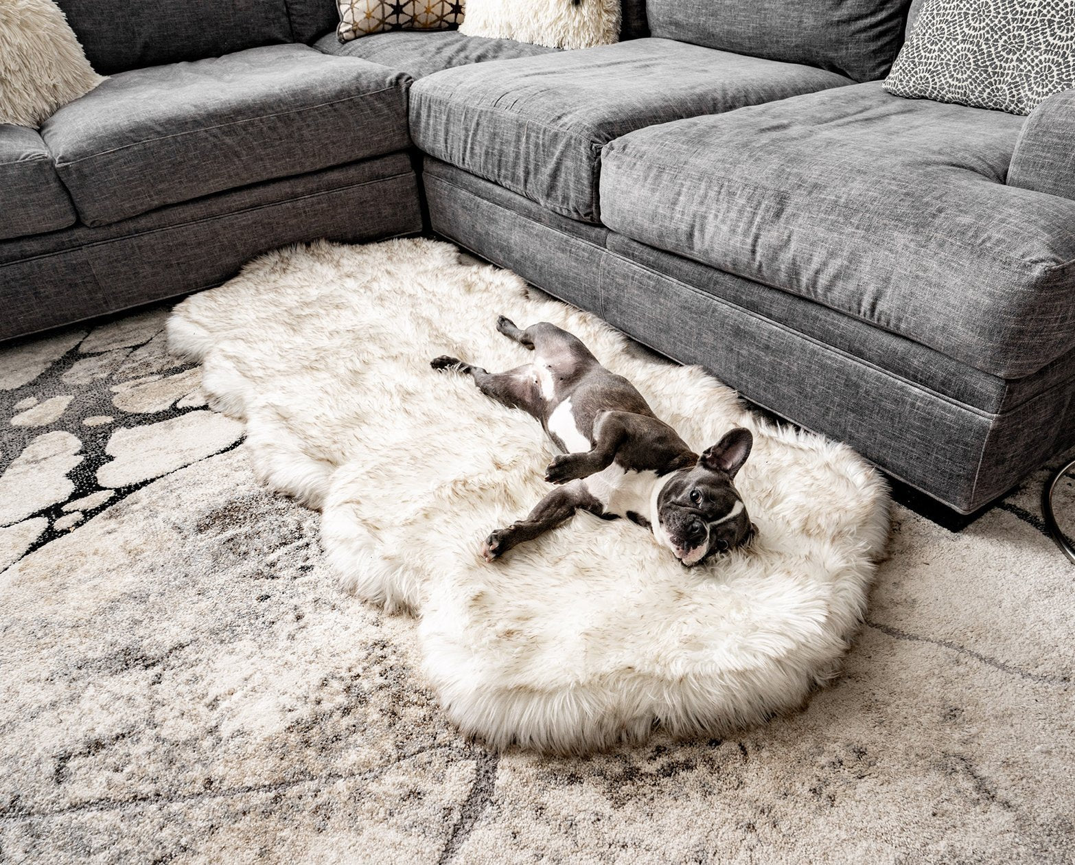 PupRug™ Runner Faux Fur Memory Foam Dog Bed - Curve White with Brown Accents、mySite、solidvoid
