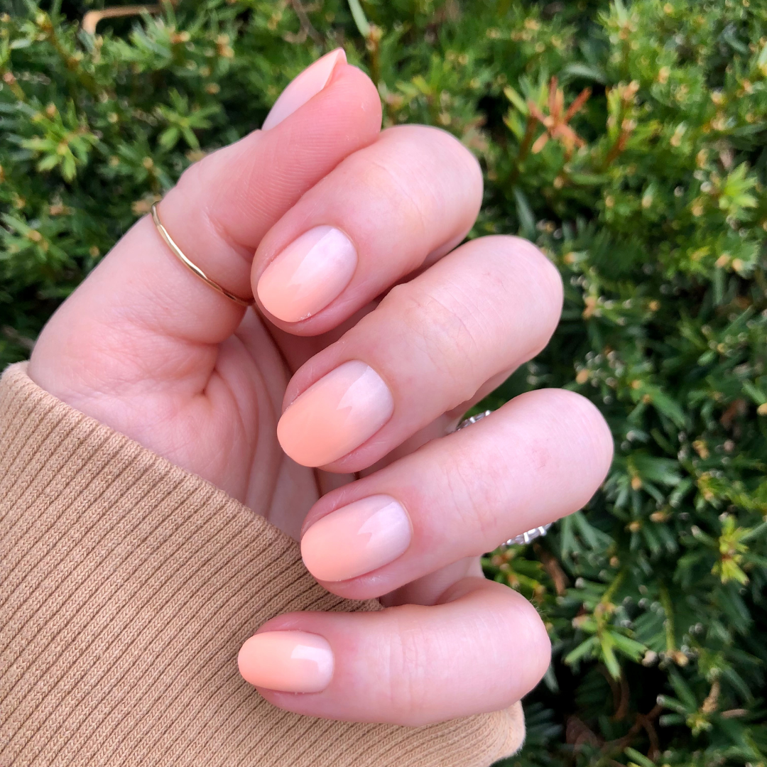 BI Syrup Gradient - Press-On | Extra Short | Round、mySite、solidvoid