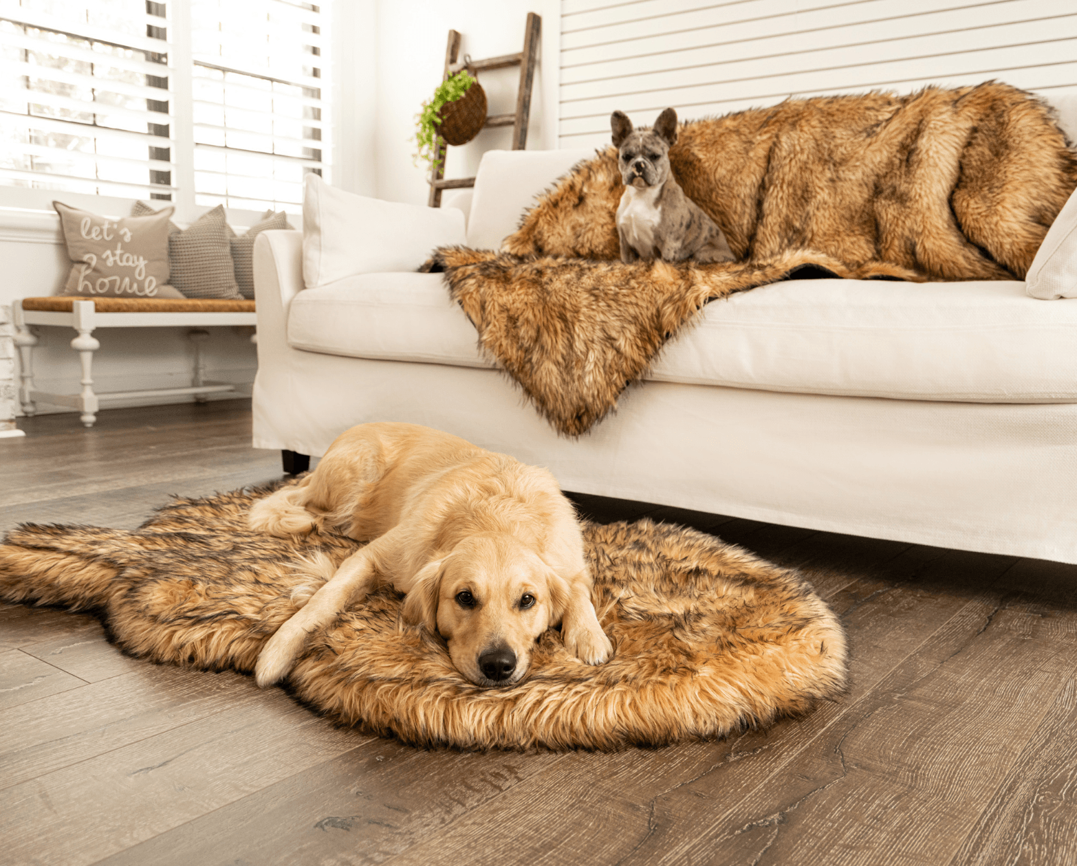 PupRug™ Orthopedic Bed + Matching Waterproof Blanket Bundle- Sable Tan、mySite、solidvoid