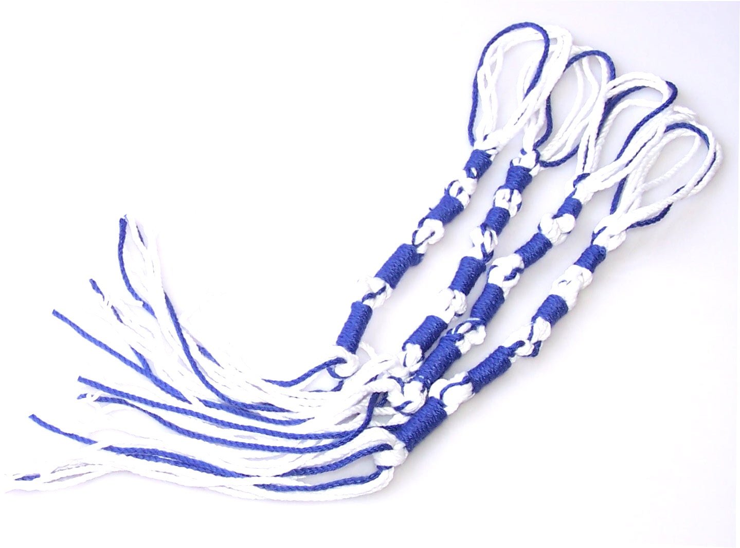 Holy Land Market Tzitzits Set of 4、mySite、topwebapps