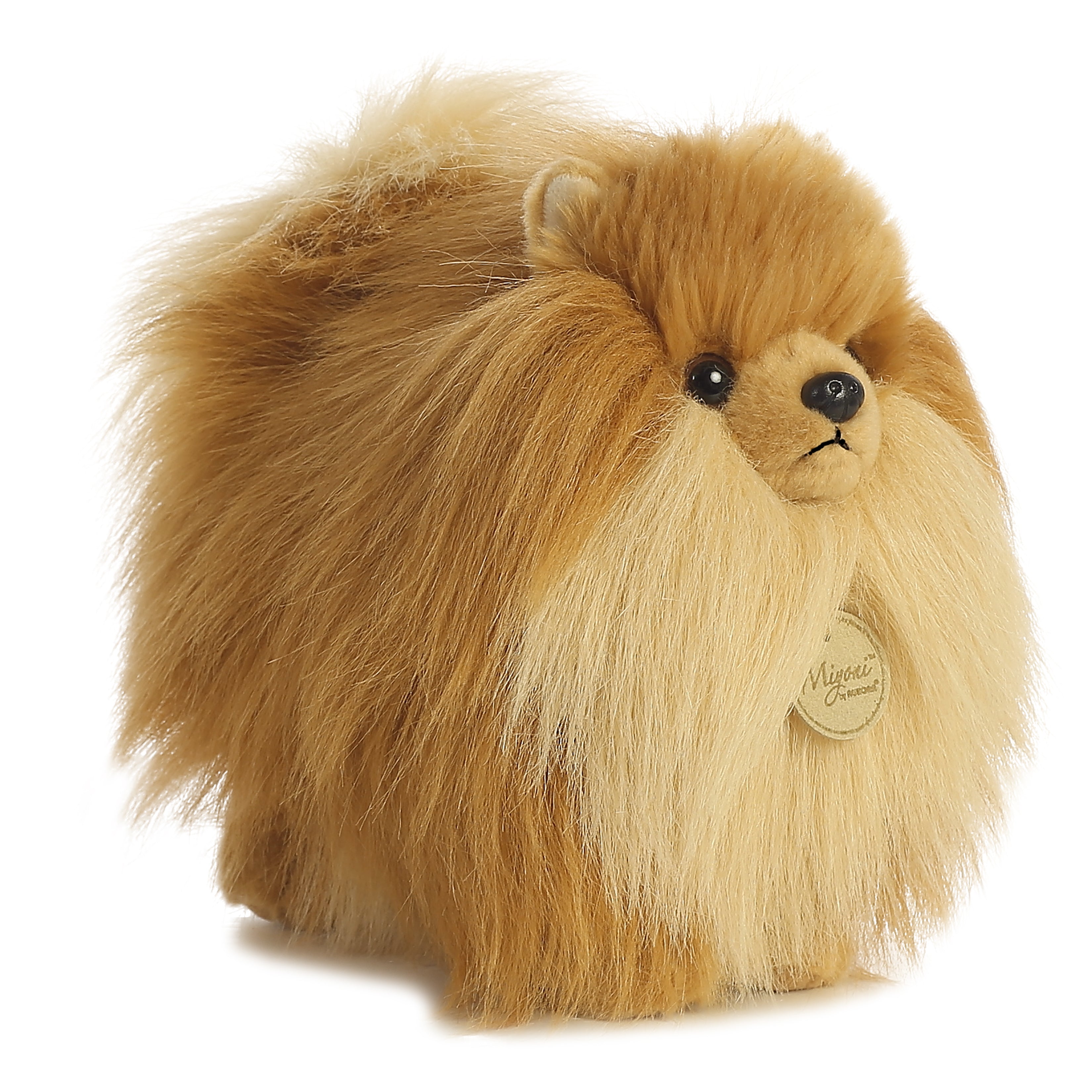 Aurora® - Miyoni® - 9 Pomeranian、mySite、g9winljtr