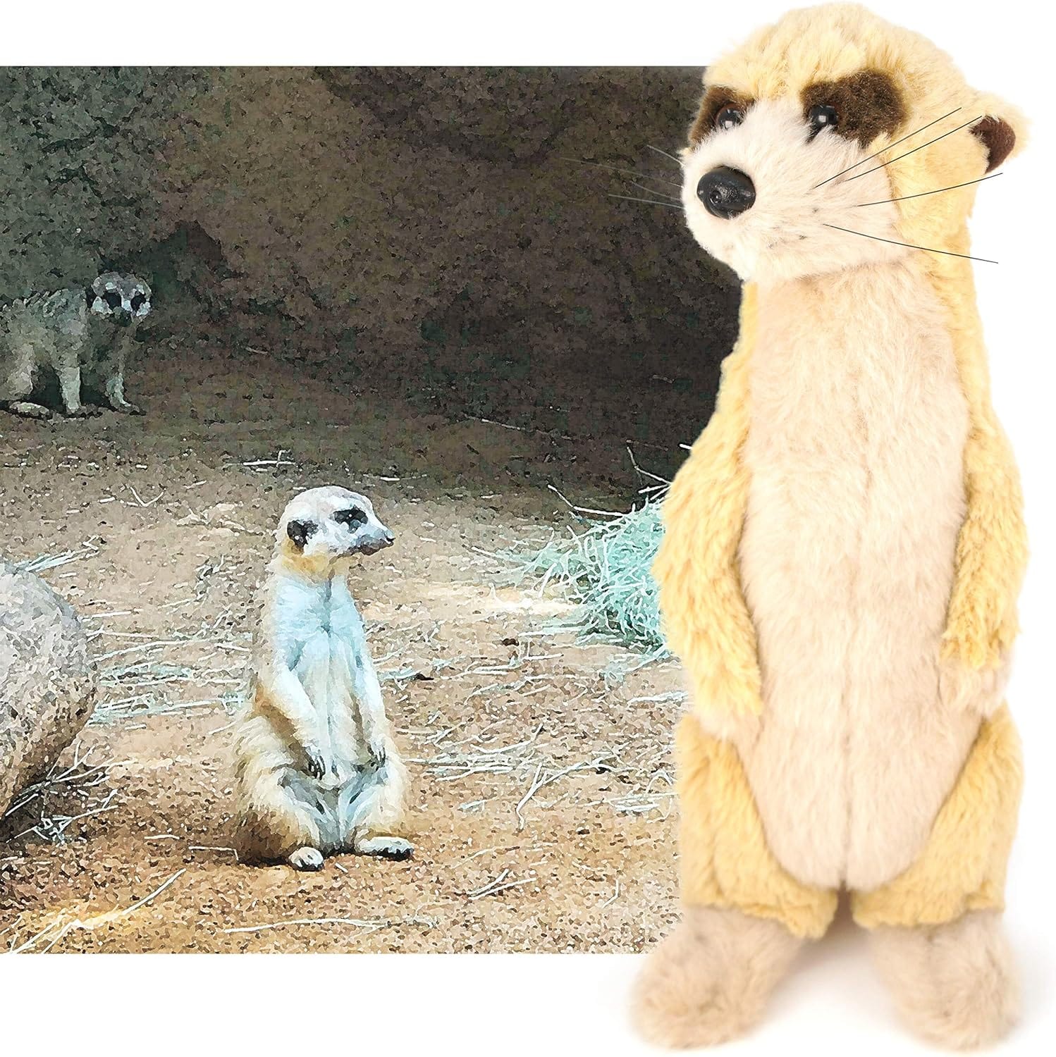 Mimi The Meerkat - 10 Inch Stuffed Animal Plush - by Tiger Tale Toys、mySite、g9winljtr
