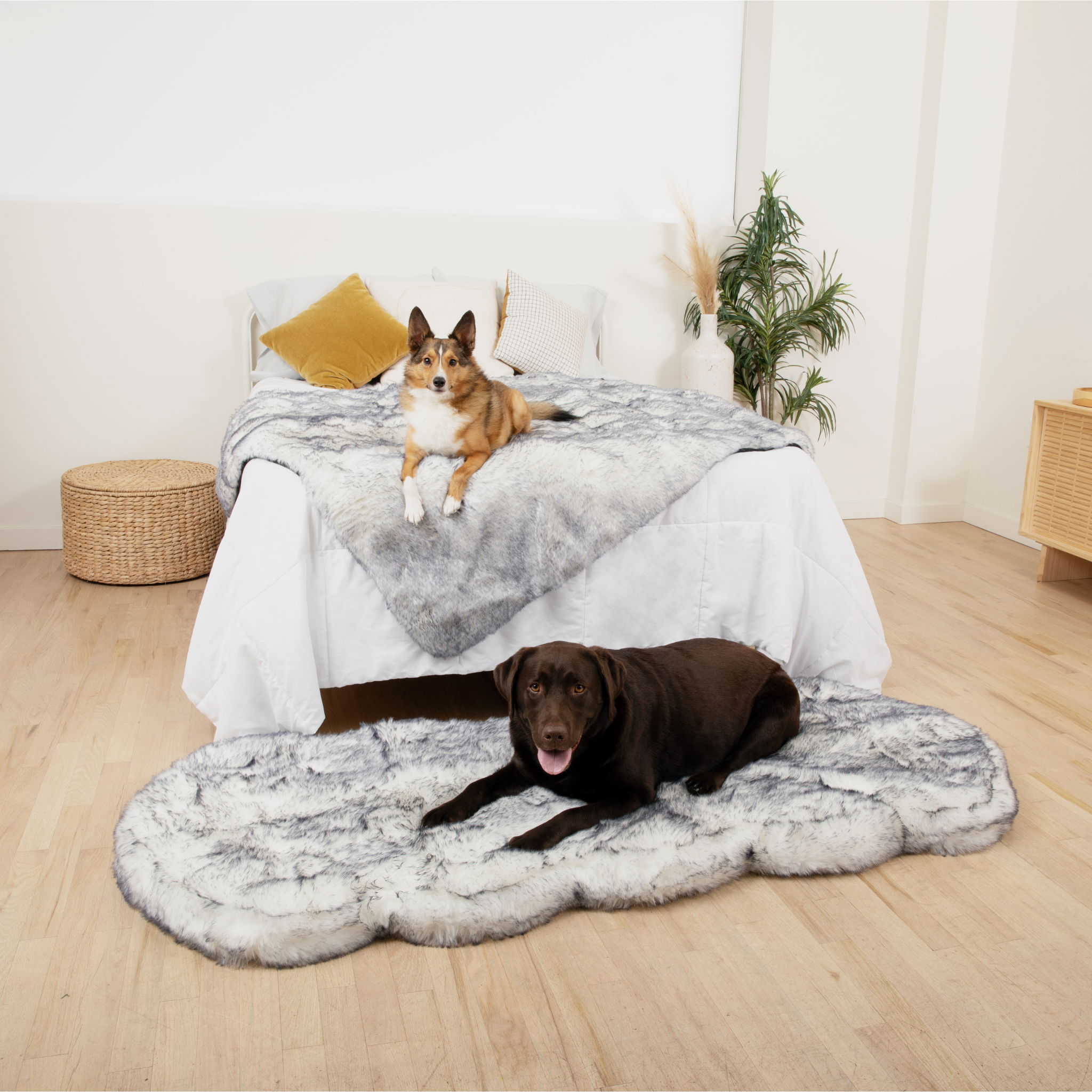 PupRug™ Luxe Orthopedic Runner Bed + Matching Waterproof Blanket Bundle - Ultra Plush Arctic Fox、mySite、solidvoid