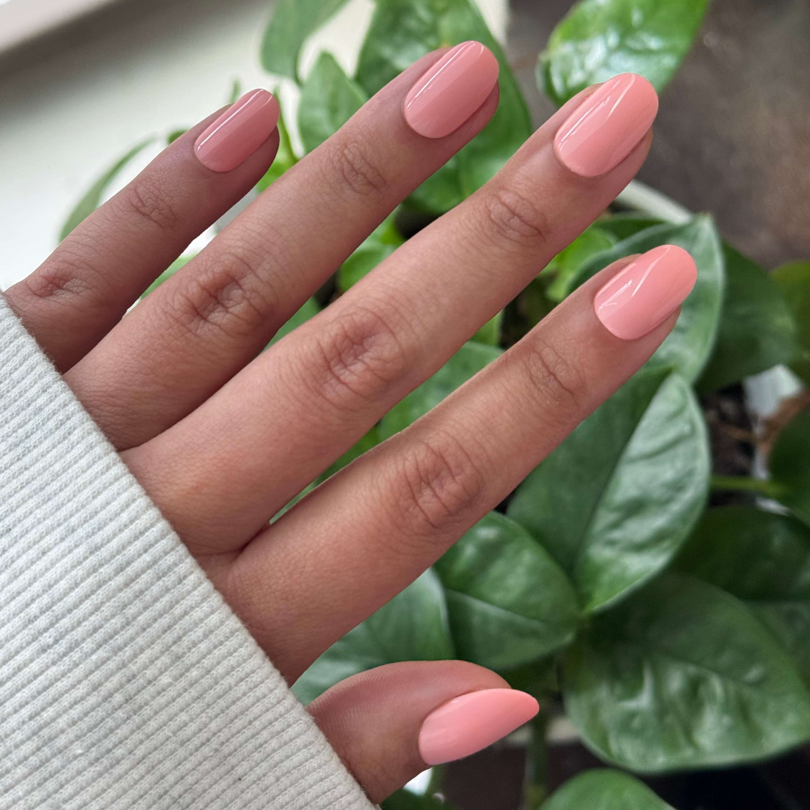 Carnation | Short | Round - Tab Press-On、mySite、solidvoid