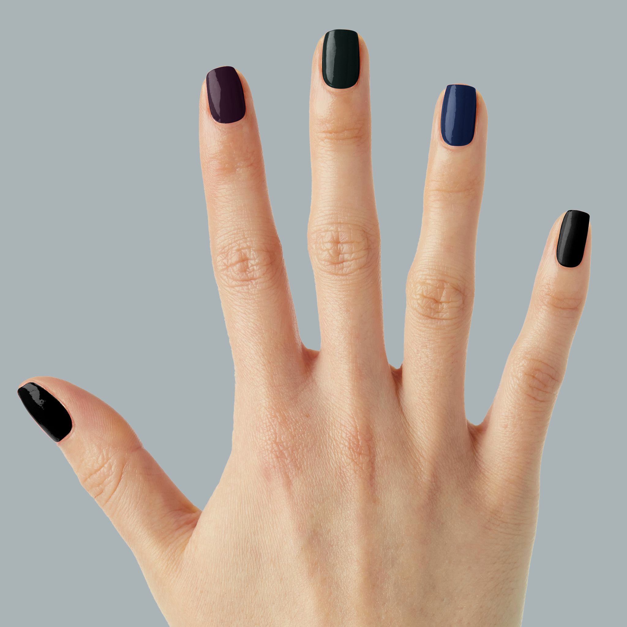 Coat Check、mySite、solidvoid