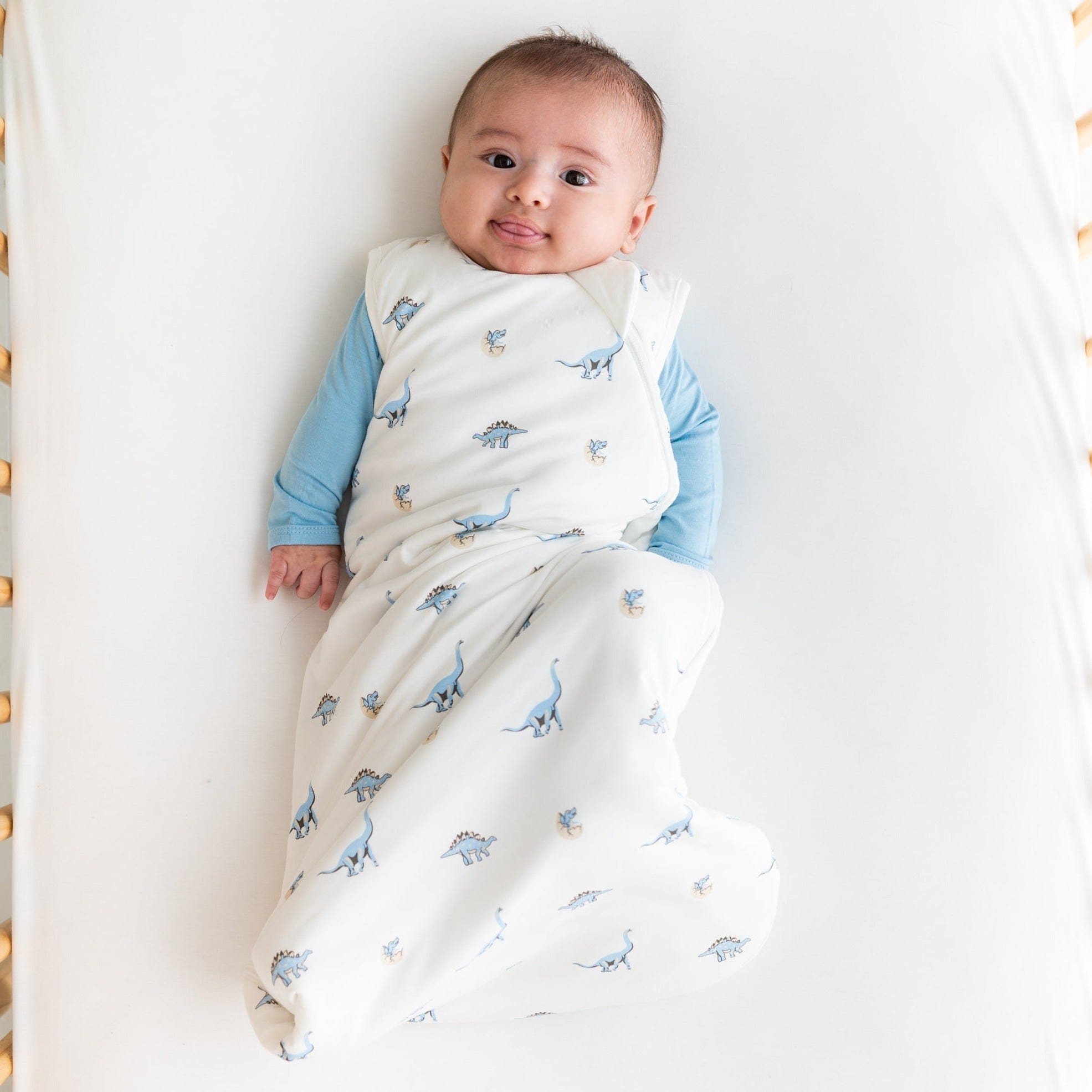  Sleep Bag in Jurassic 1.0、mySite、layawaytickets