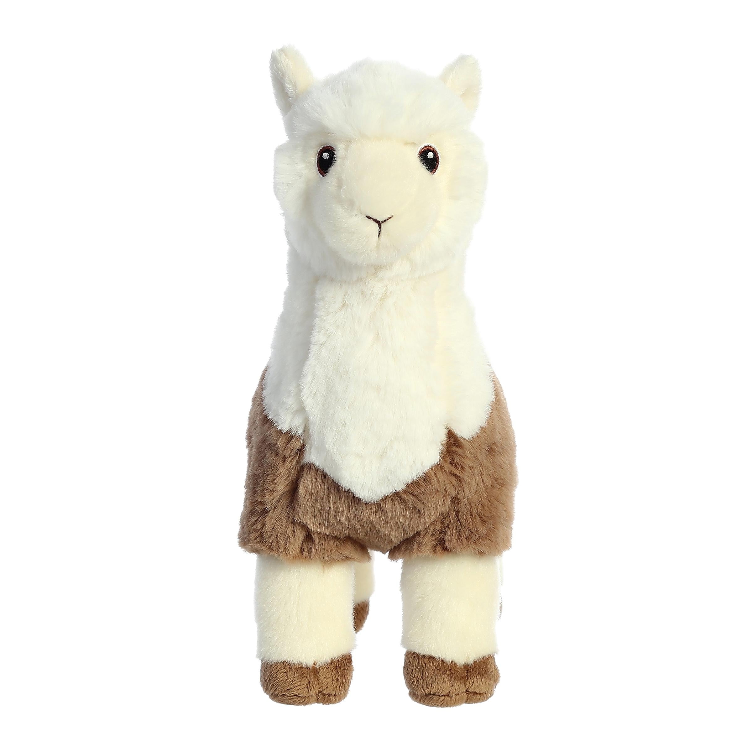 Aurora® - Eco Nation™ - 11 Two -Tone Alpaca、mySite、g9winljtr