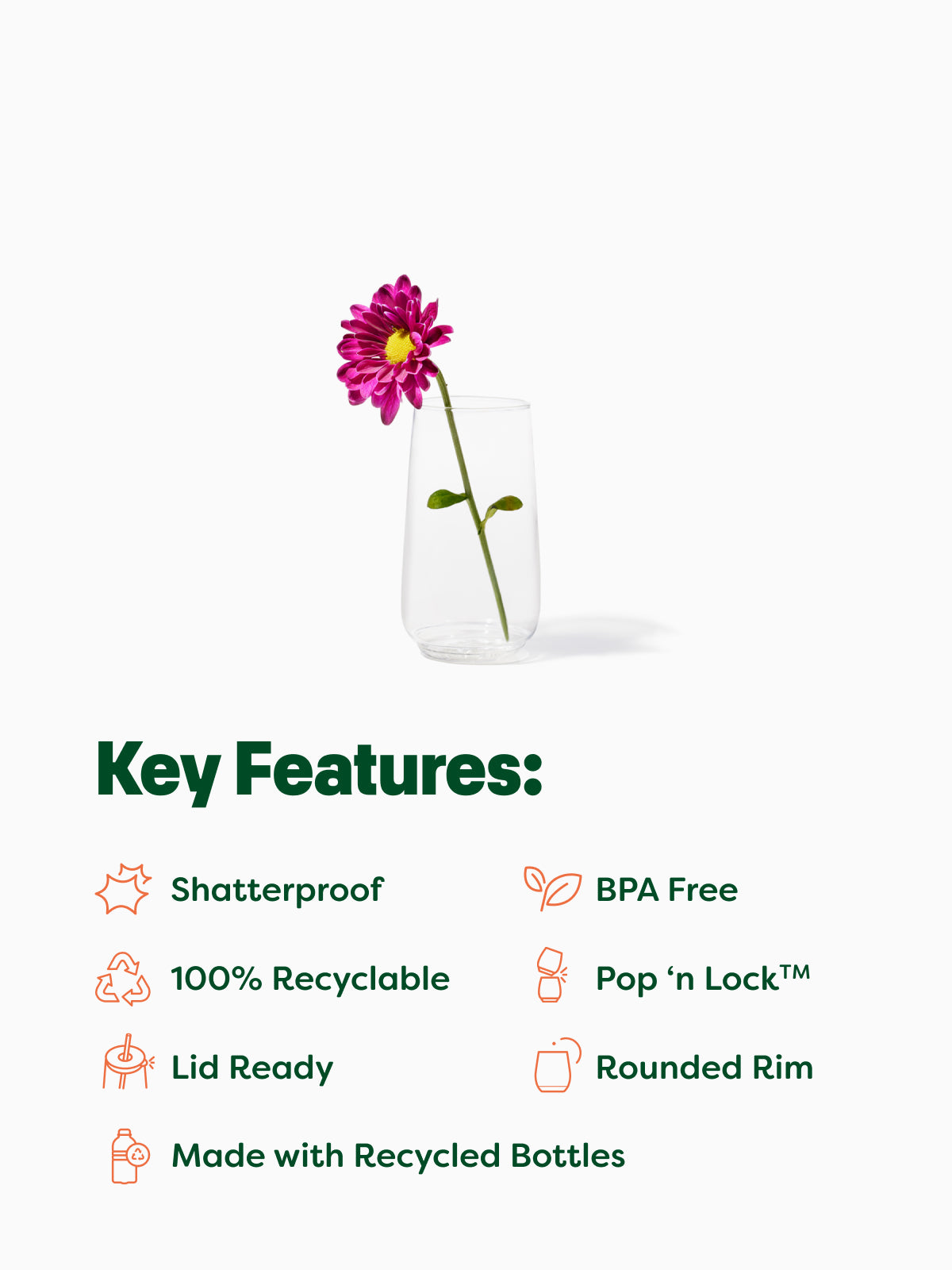 POP 6oz Flute Jr - Bulk、mySite、camillekostekn