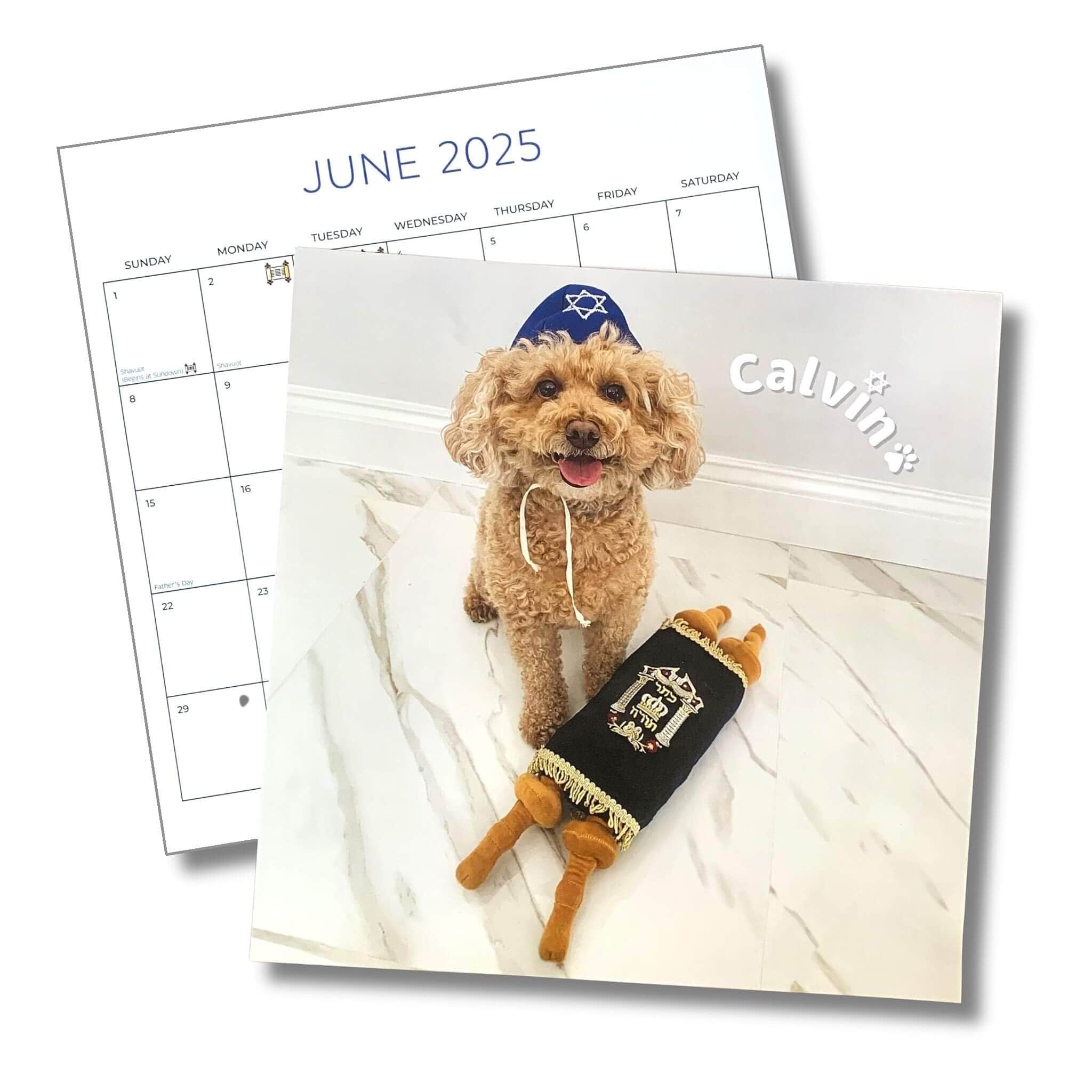 Pawsitively Jewish 2025 Calendar、mySite、topwebapps