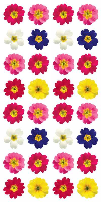  Decorative Stickers - Primrose、mySite、ghnorth