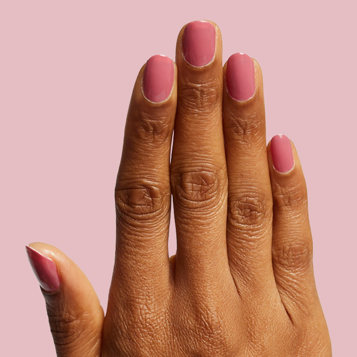 THE SHINY + CHIC SET、mySite、solidvoid