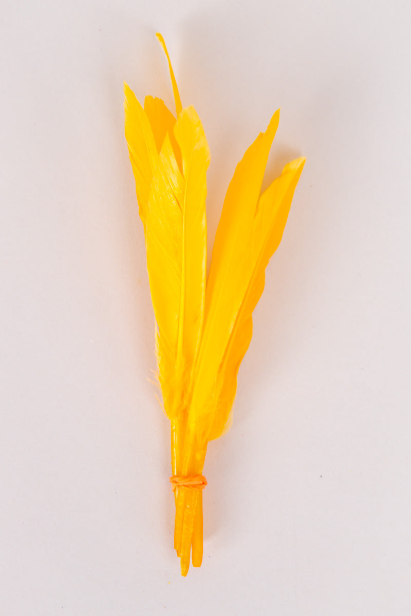 Mini Goose Feathers Bundle of 6- Orange Rubber Band - FINAL SALE、mySite、hinf8tx79