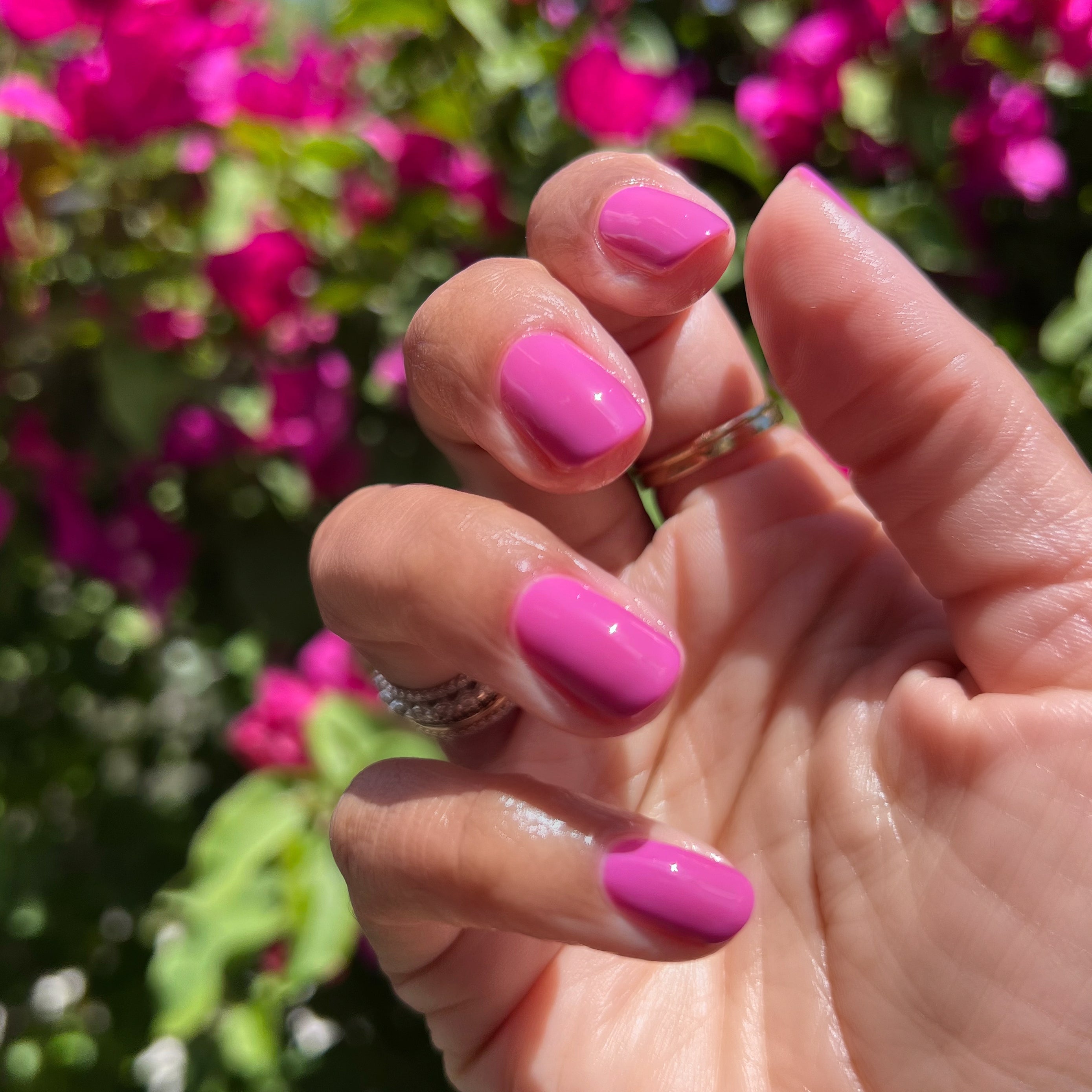 How Do You Spell Bougainvillea?、mySite、solidvoid