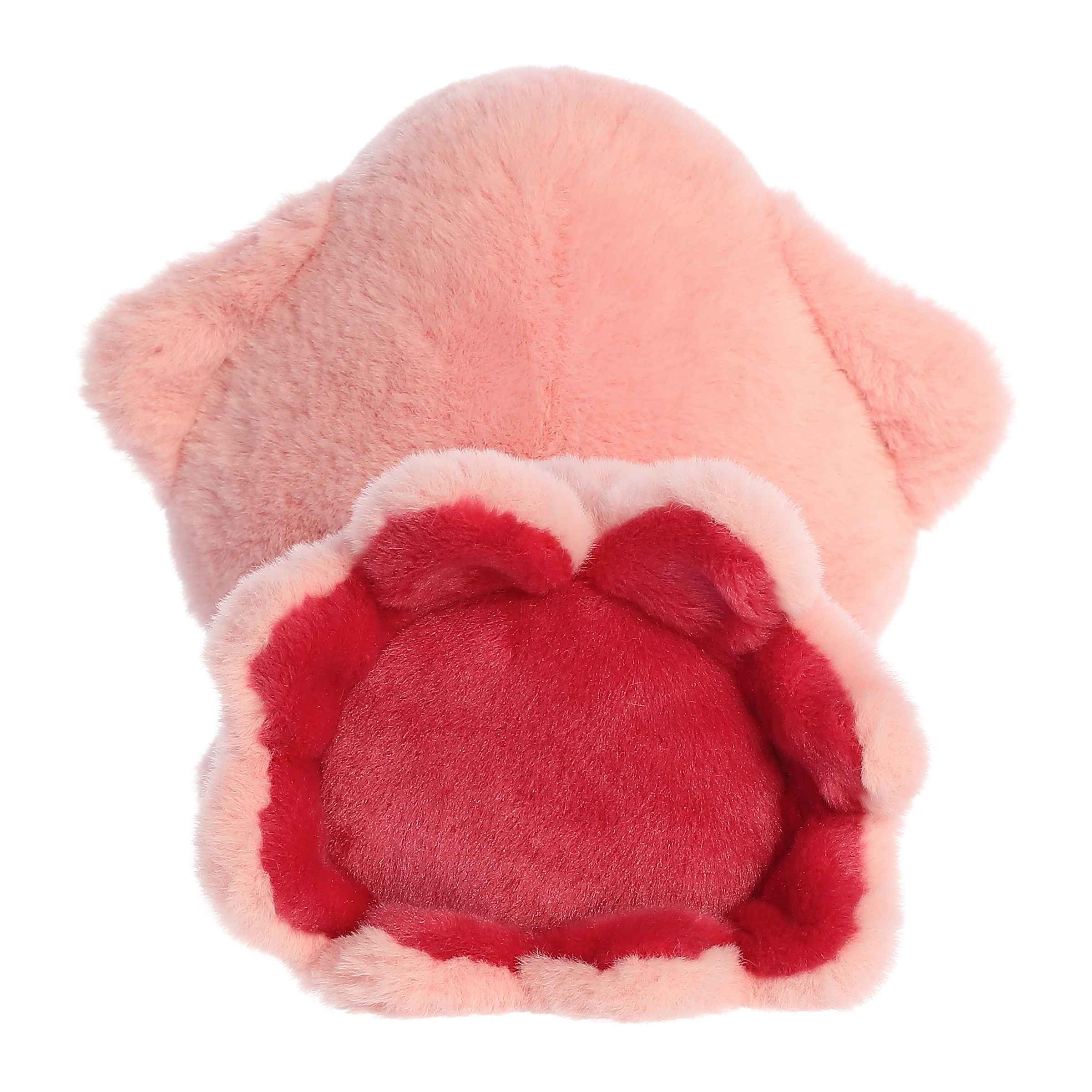 Aurora® - Too Cute™ - 9 Skyler Squid™、mySite、g9winljtr