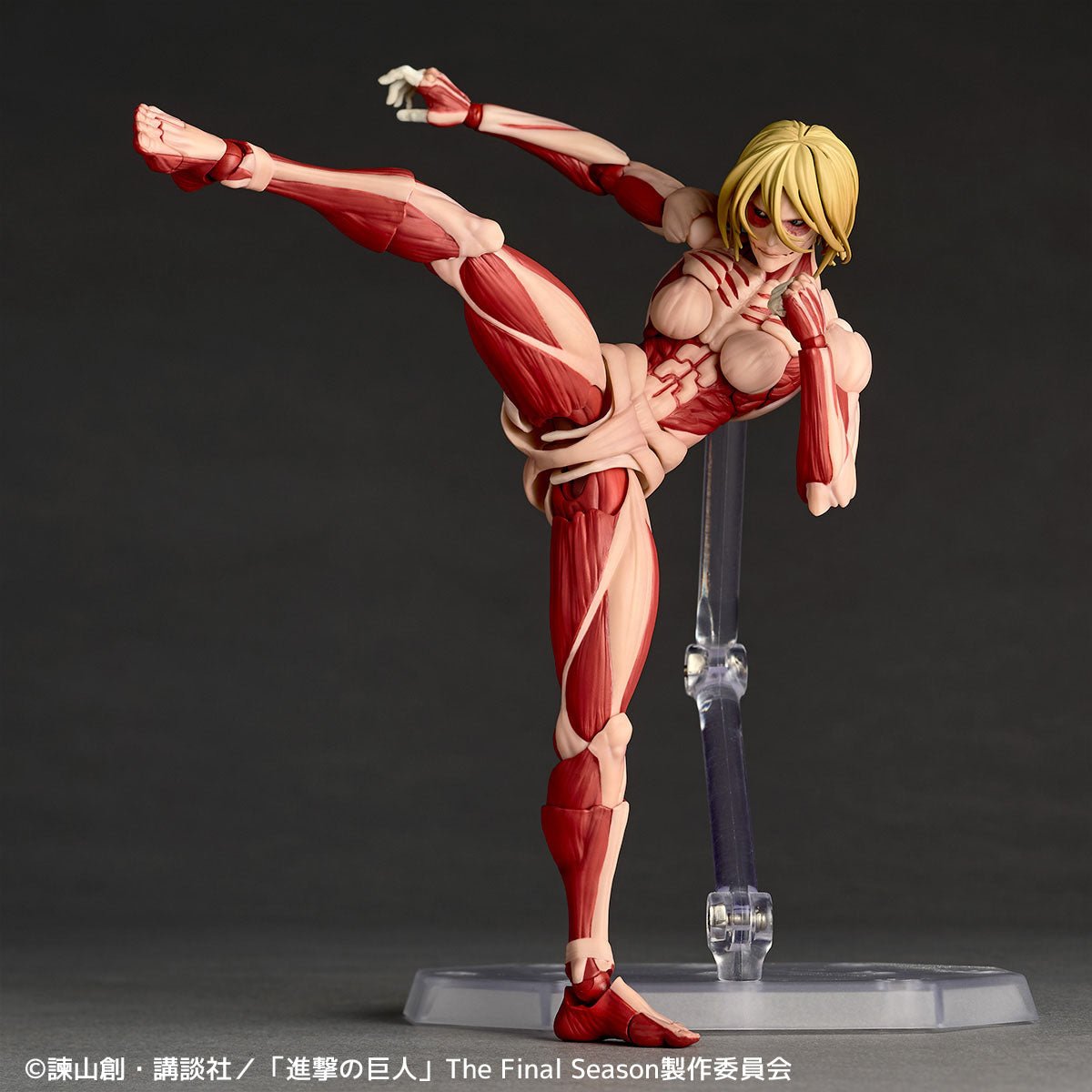 Amazing Yamaguchi Revoltech NR068 Female Titan (Annie Lockhart)、mySite、hgirdovlk