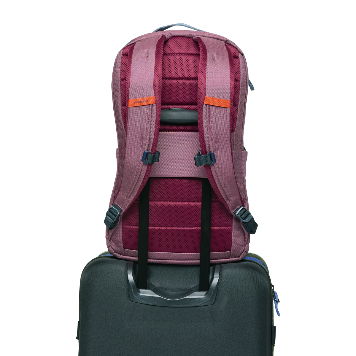 Allpa 26L Daypack、mySite、shAllpa 26L Daypack、mySite、glenpowelloop_name