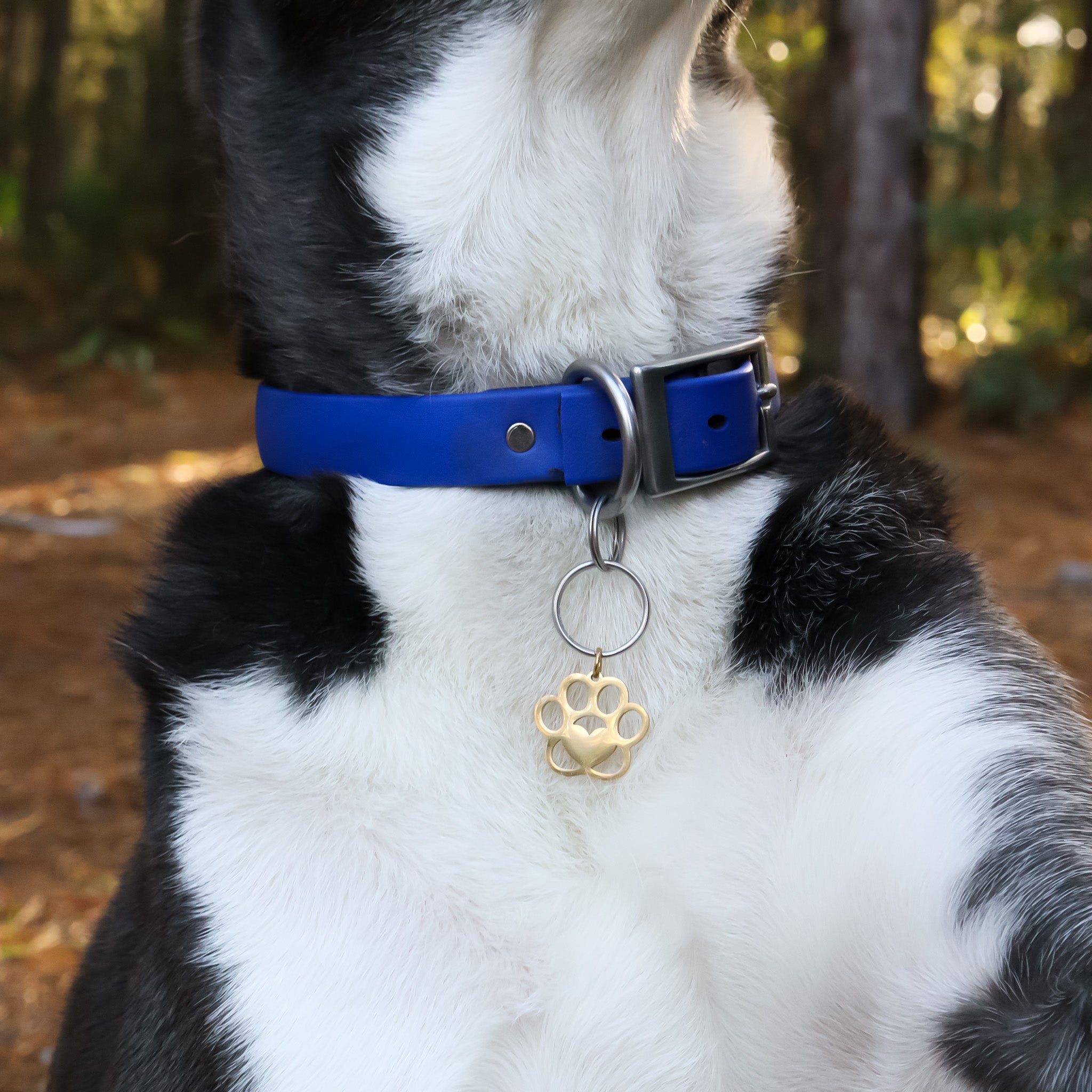 18K Gold PVD Stainless Steel Blank Paw Print Pet Tag / PDL0140、mySite、dreamappss