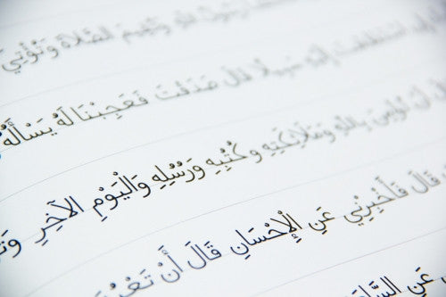 Scribe By Learning Roots、mySite、topwebapps