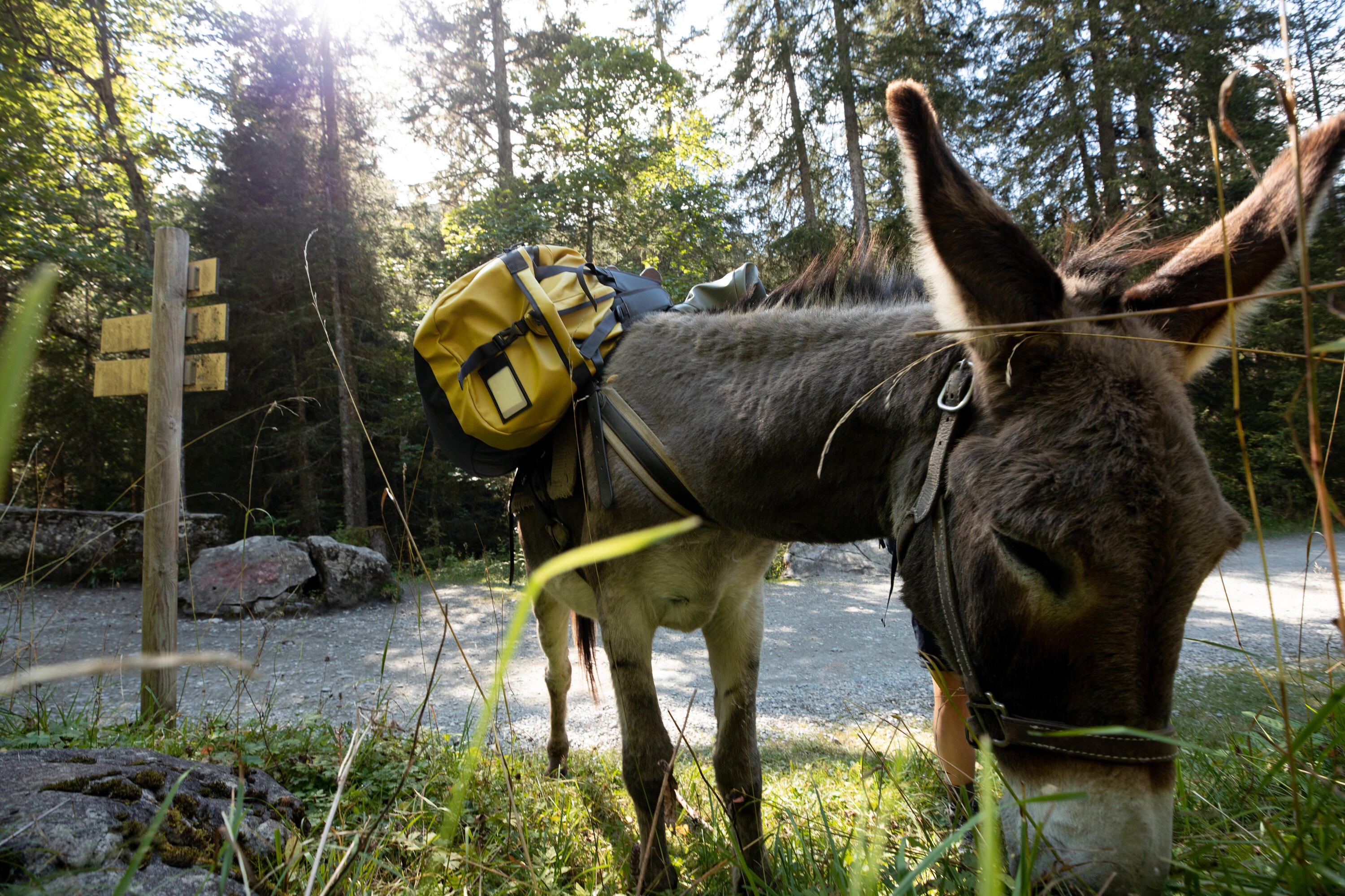 Forclaz 500 Extend 80-120 L Duffel Bag、mySite、neckold