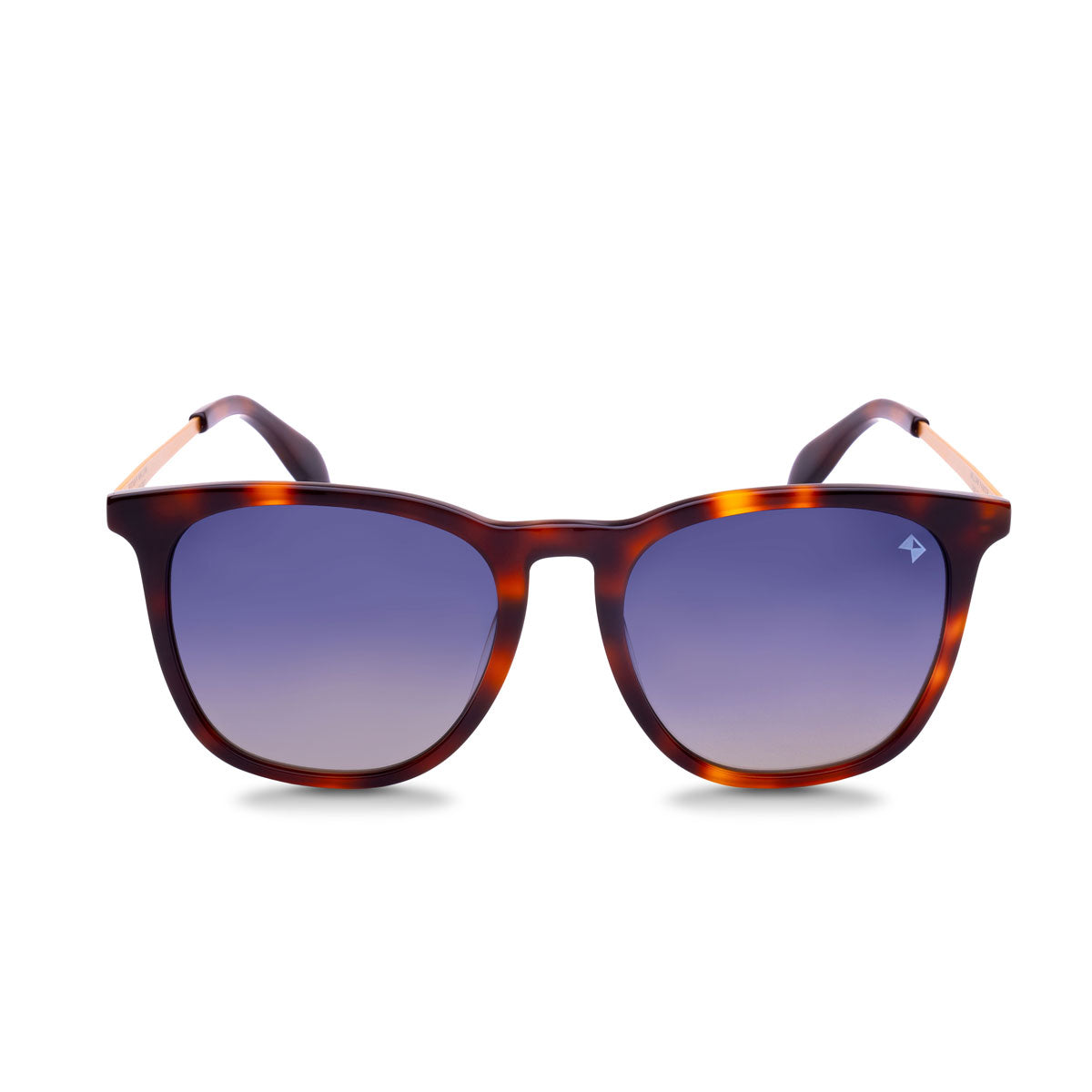  The Oasis、mySite、merchandisen