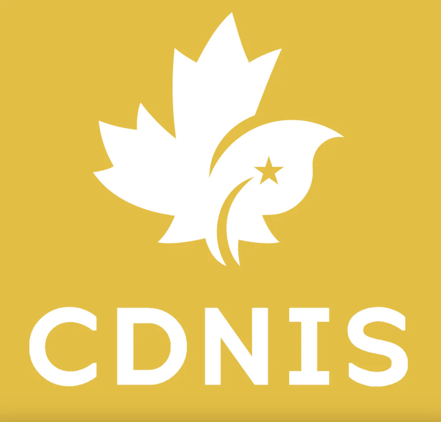 CDNIS Yellow House Short Sleeve PE Top、mySite、g9winljtr