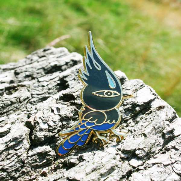 Observation - Steller's Jay - Pin、mySite、garagedoors4me