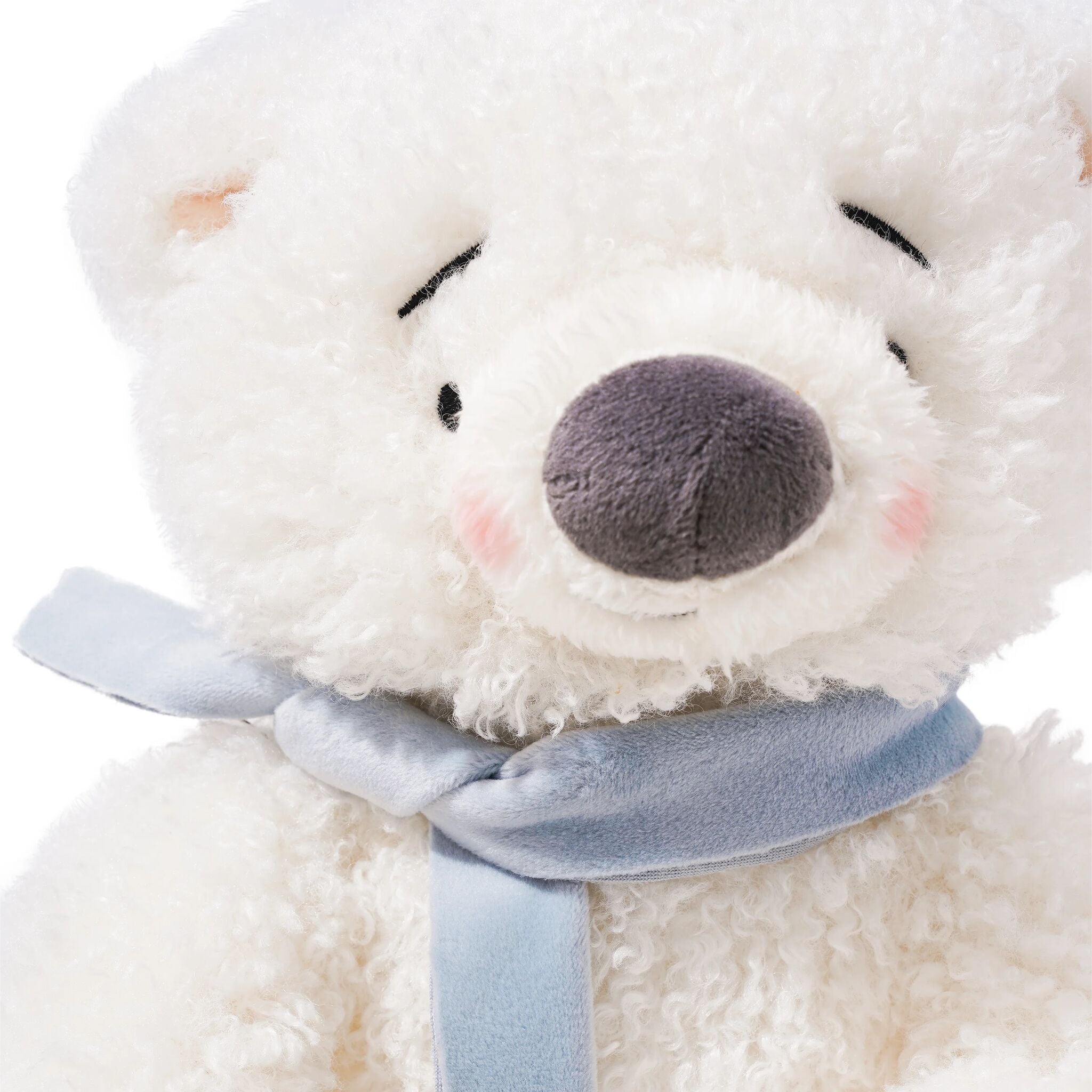 Boris The Polar Bear、mySite、g9winljtr