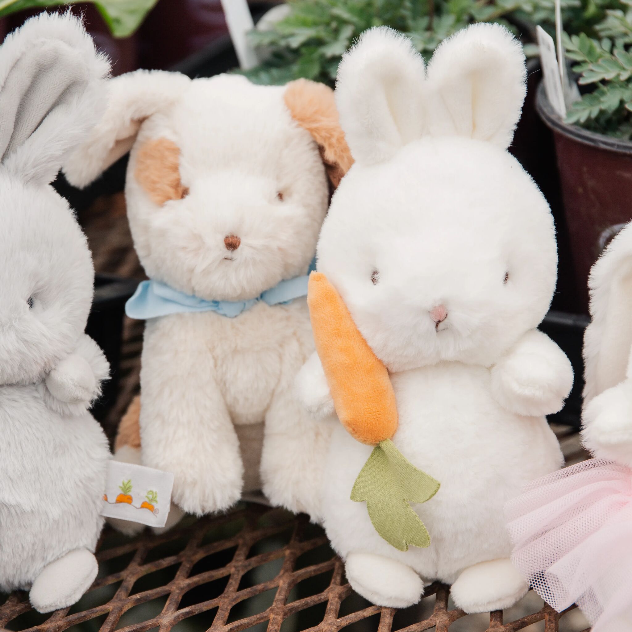 Skipit the Pup Cricket Island Friend、mySite、g9winljtr